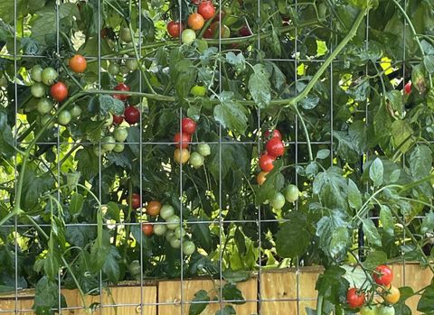 Tiny photo for 2208 Poe Road, Soddy Daisy, TN 37379 (MLS # 1528169)