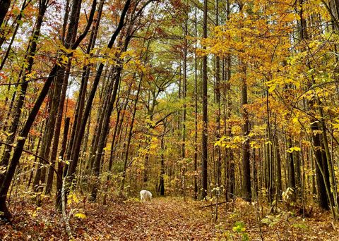 Tiny photo for 2208 Poe Road, Soddy Daisy, TN 37379 (MLS # 1528169)