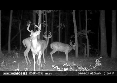 Tiny photo for 2208 Poe Road, Soddy Daisy, TN 37379 (MLS # 1528169)