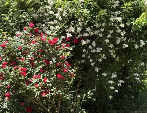 Tiny photo for 2208 Poe Road, Soddy Daisy, TN 37379 (MLS # 1528169)