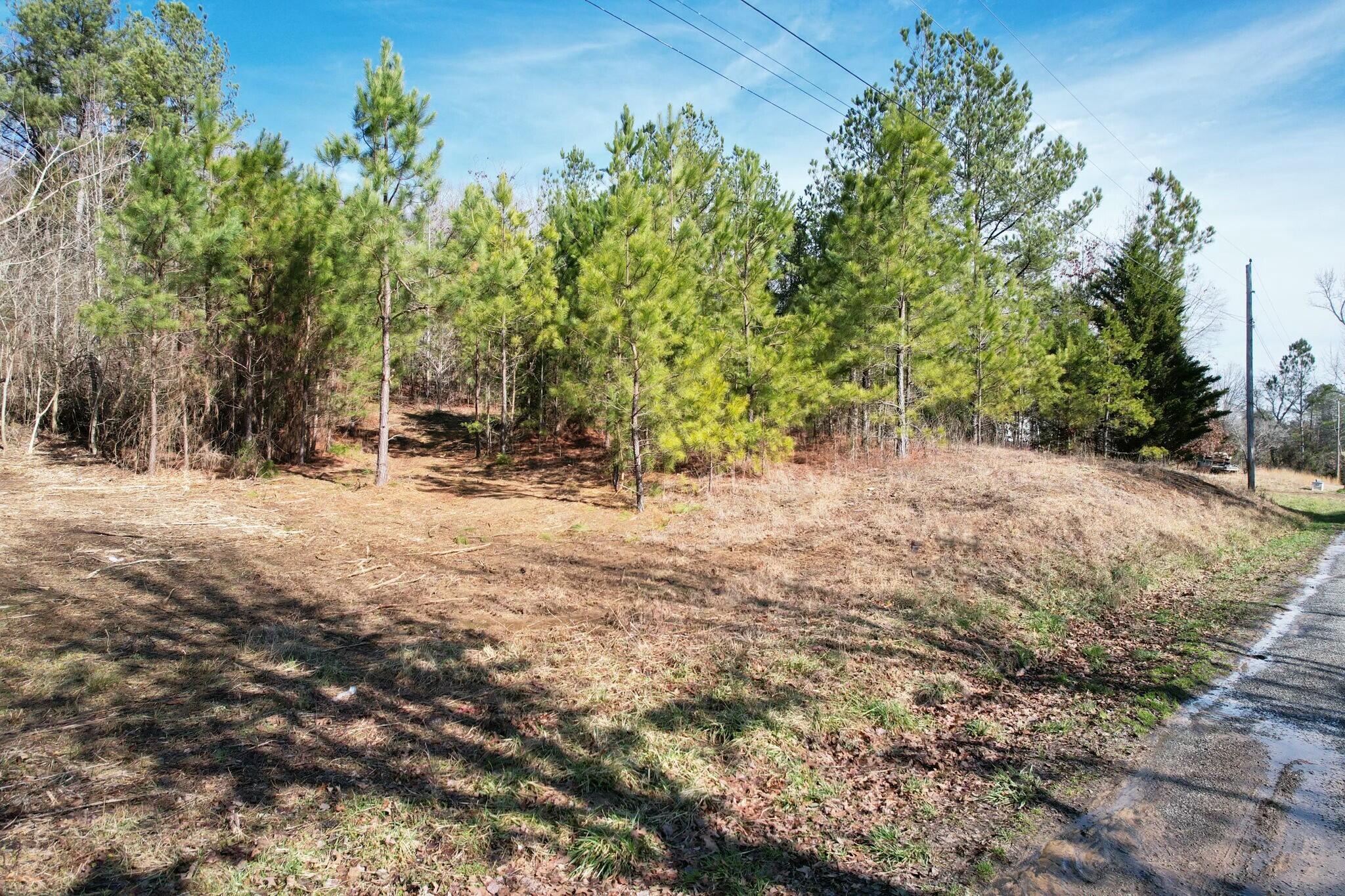 Tract 5 County Road 47 Road, Riceville, Tennessee image 2