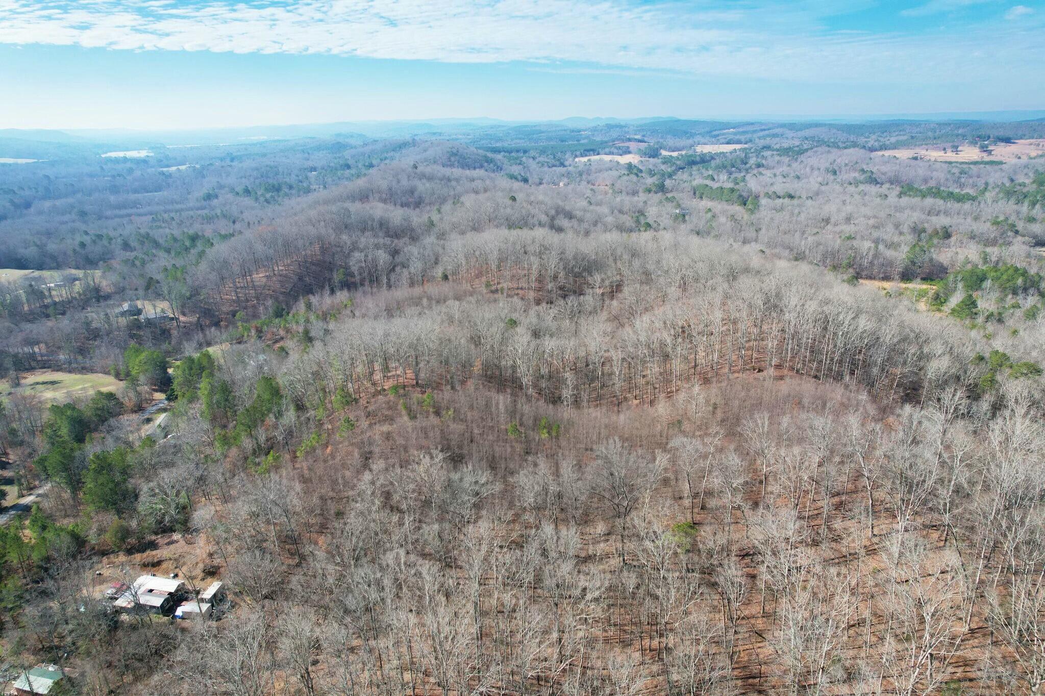 Tract 5 County Road 47 Road, Riceville, Tennessee image 16