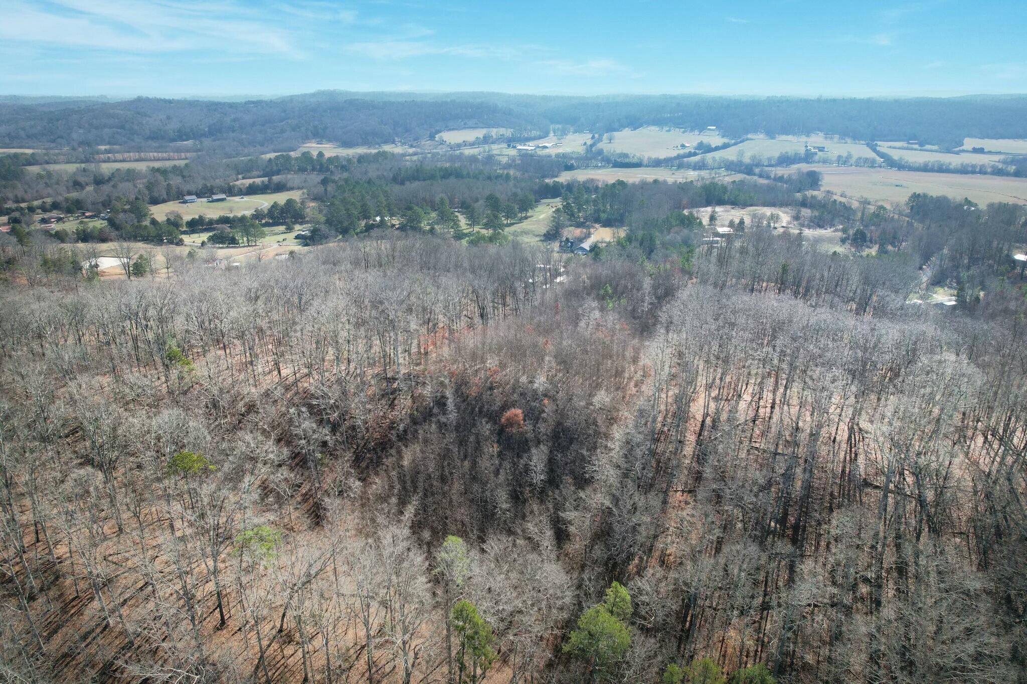 Tract 5 County Road 47 Road, Riceville, Tennessee image 11