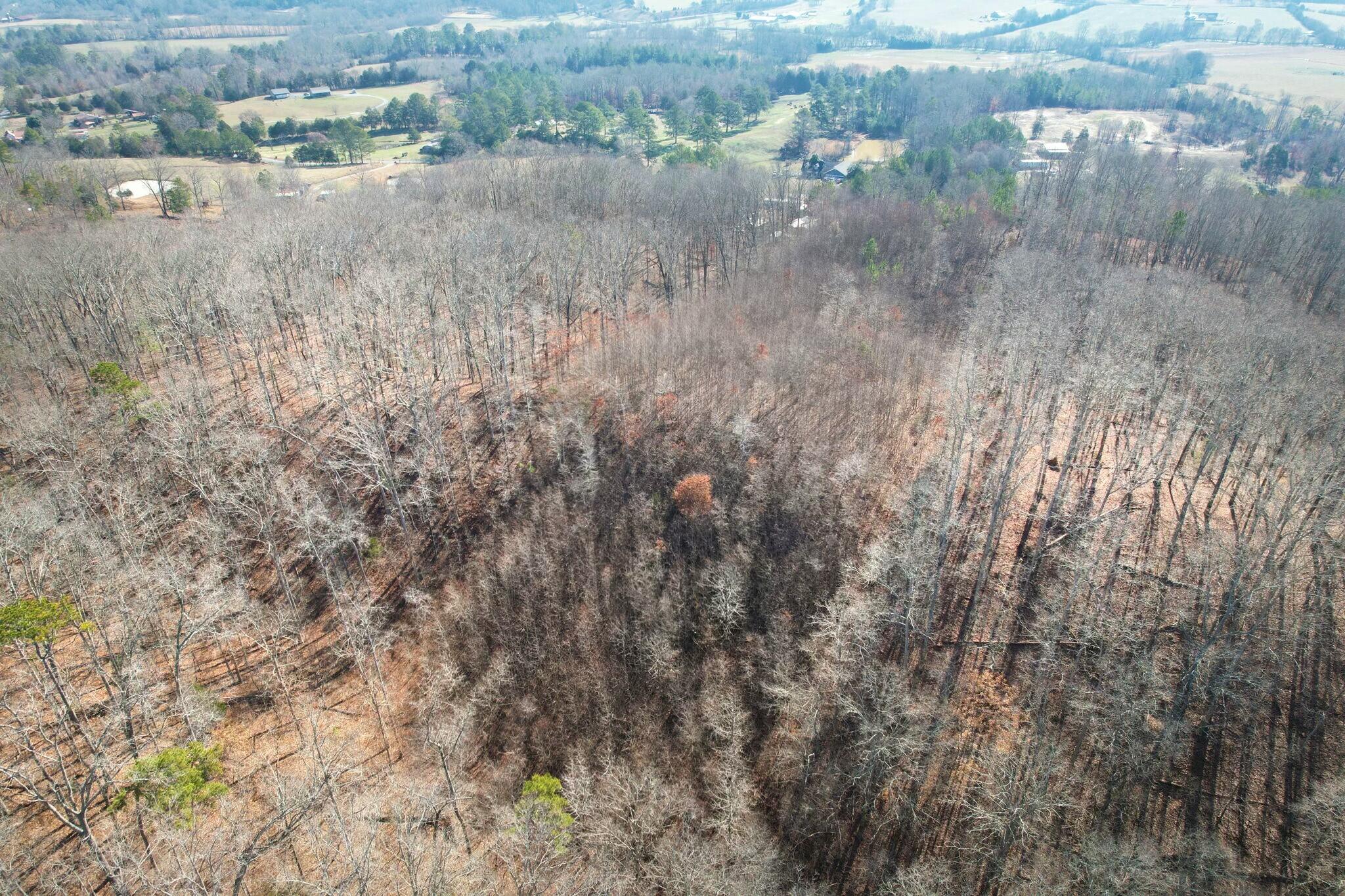 Tract 5 County Road 47 Road, Riceville, Tennessee image 12