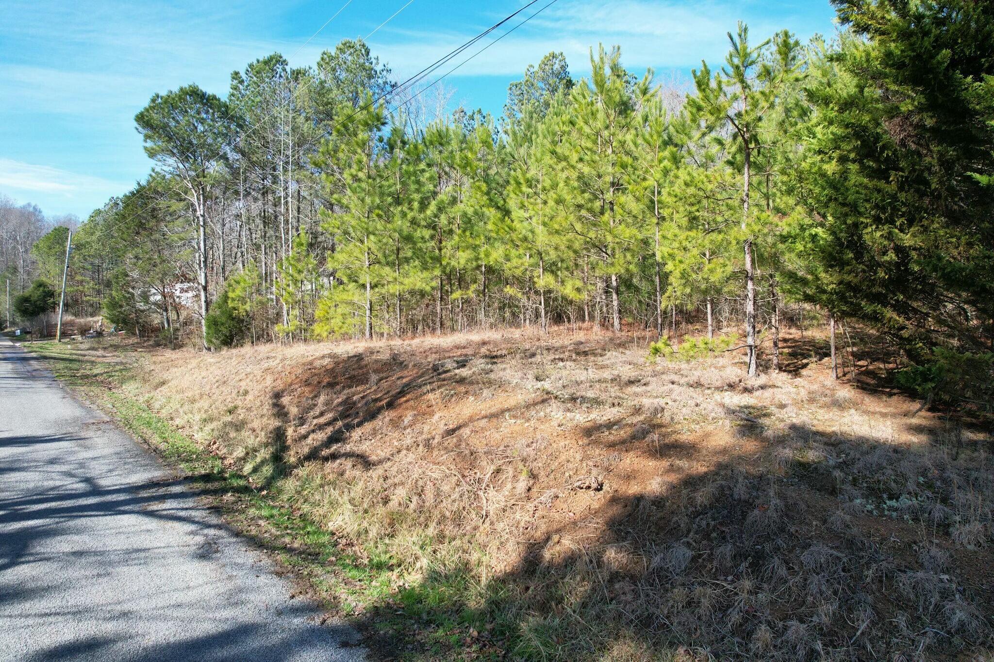 Tract 5 County Road 47 Road, Riceville, Tennessee image 1