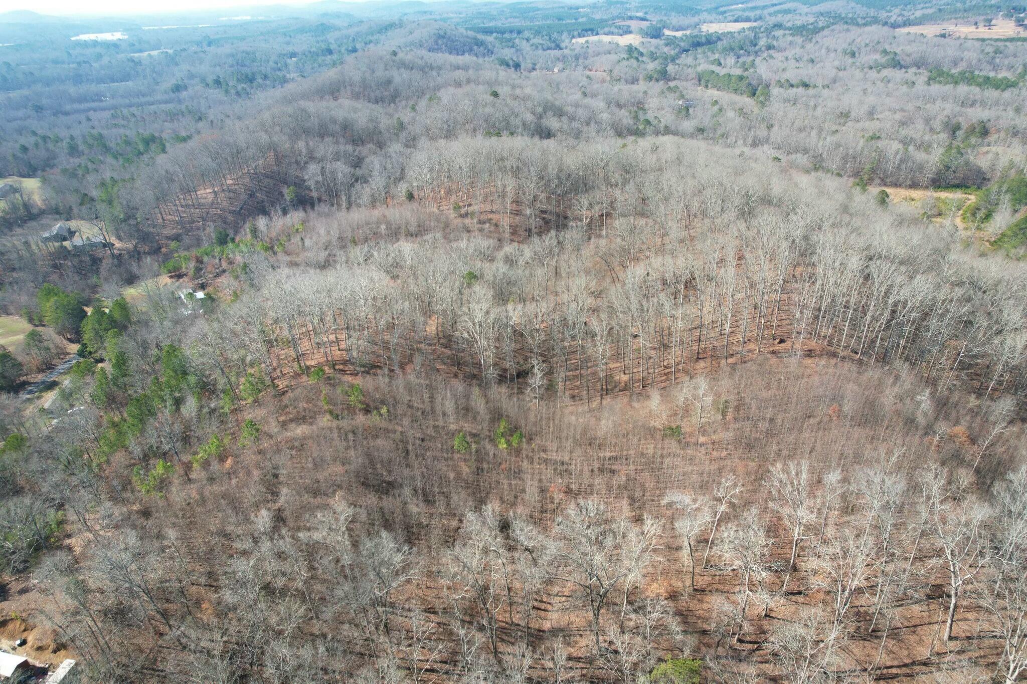 Tract 5 County Road 47 Road, Riceville, Tennessee image 17