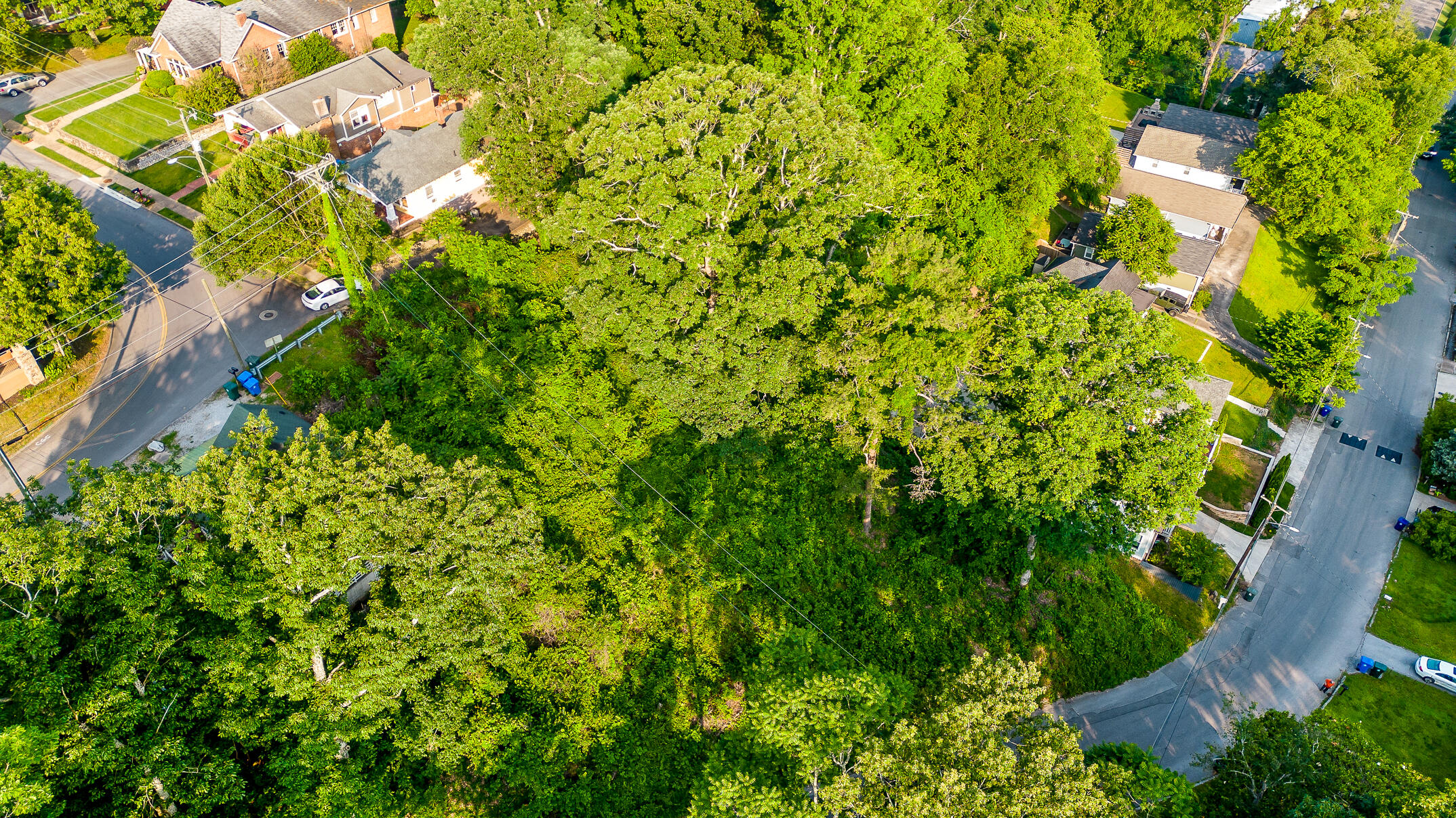 821 Forest Avenue, Chattanooga, Tennessee image 7