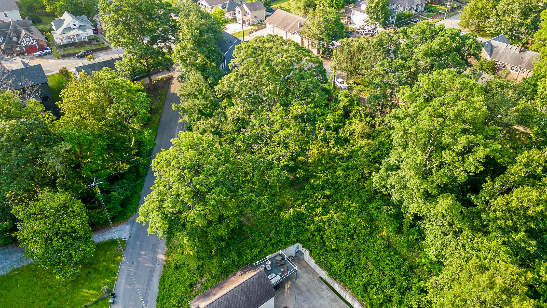 821 Forest Avenue, Chattanooga, Tennessee image 12