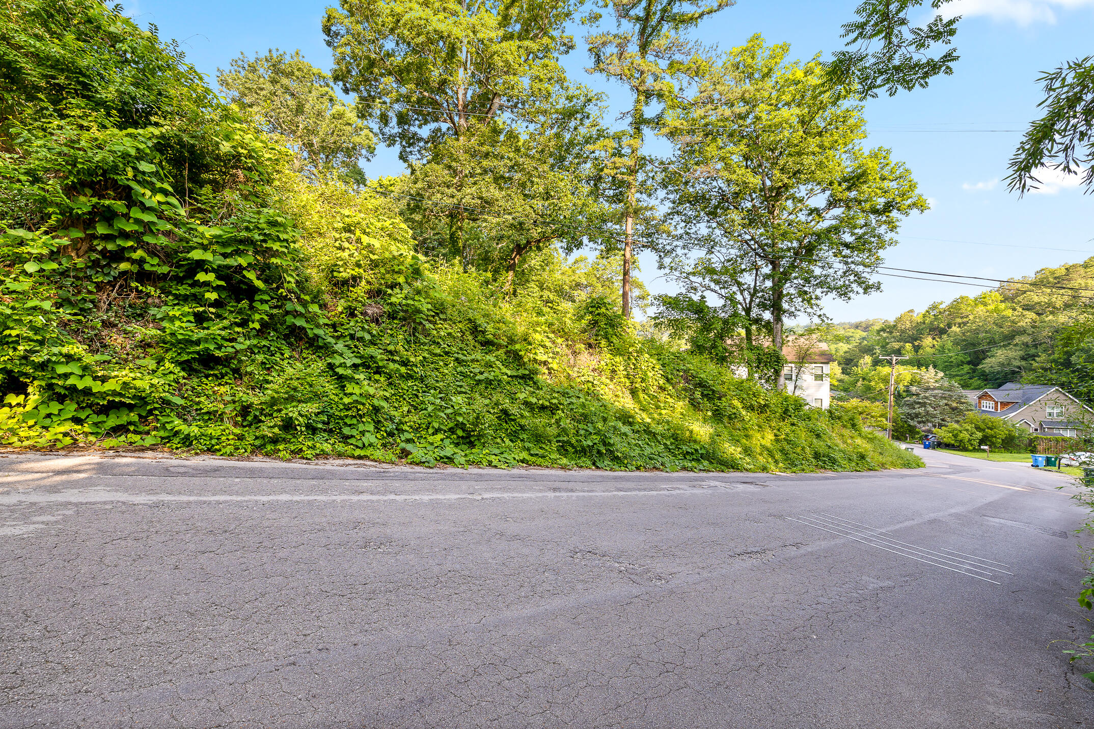 821 Forest Avenue, Chattanooga, Tennessee image 10