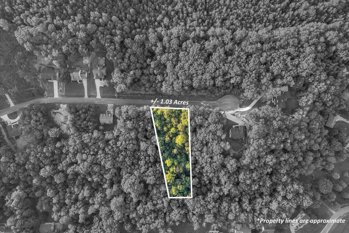 Lot 28 Highland Circle, Rocky Face, Georgia image 2