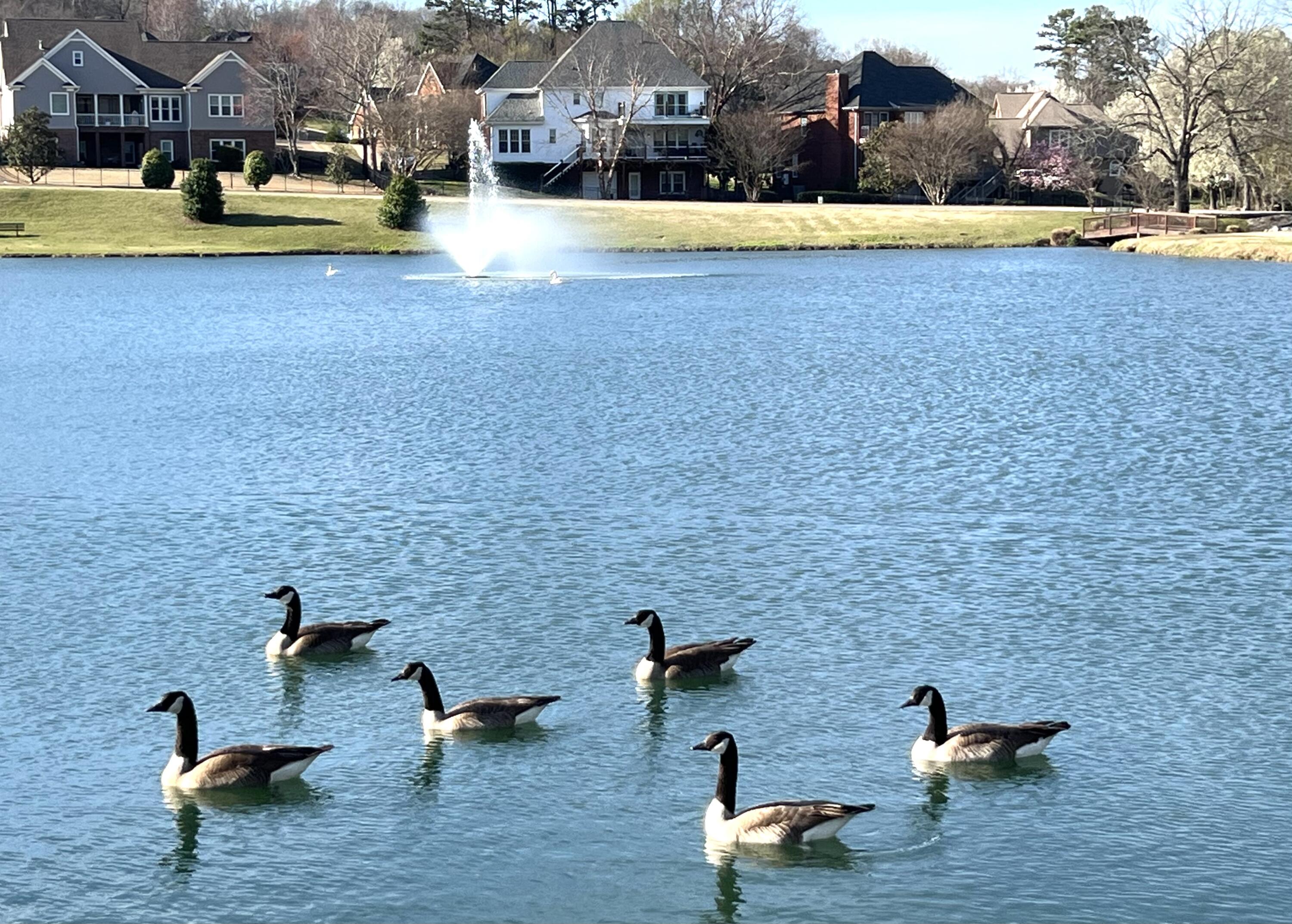 Ringgold, Georgia 30736, United States, 1 Bedroom Bedrooms, ,2 BathroomsBathrooms,Residential,Active,95219