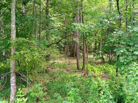 Vacant Land For Sale - 76 Pine Road<br/> Bledsoe County, Pikeville, TN 37367