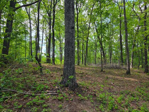Vacant Land For Sale - 000 Ski View Drive<br/> Dunlap, TN 37327