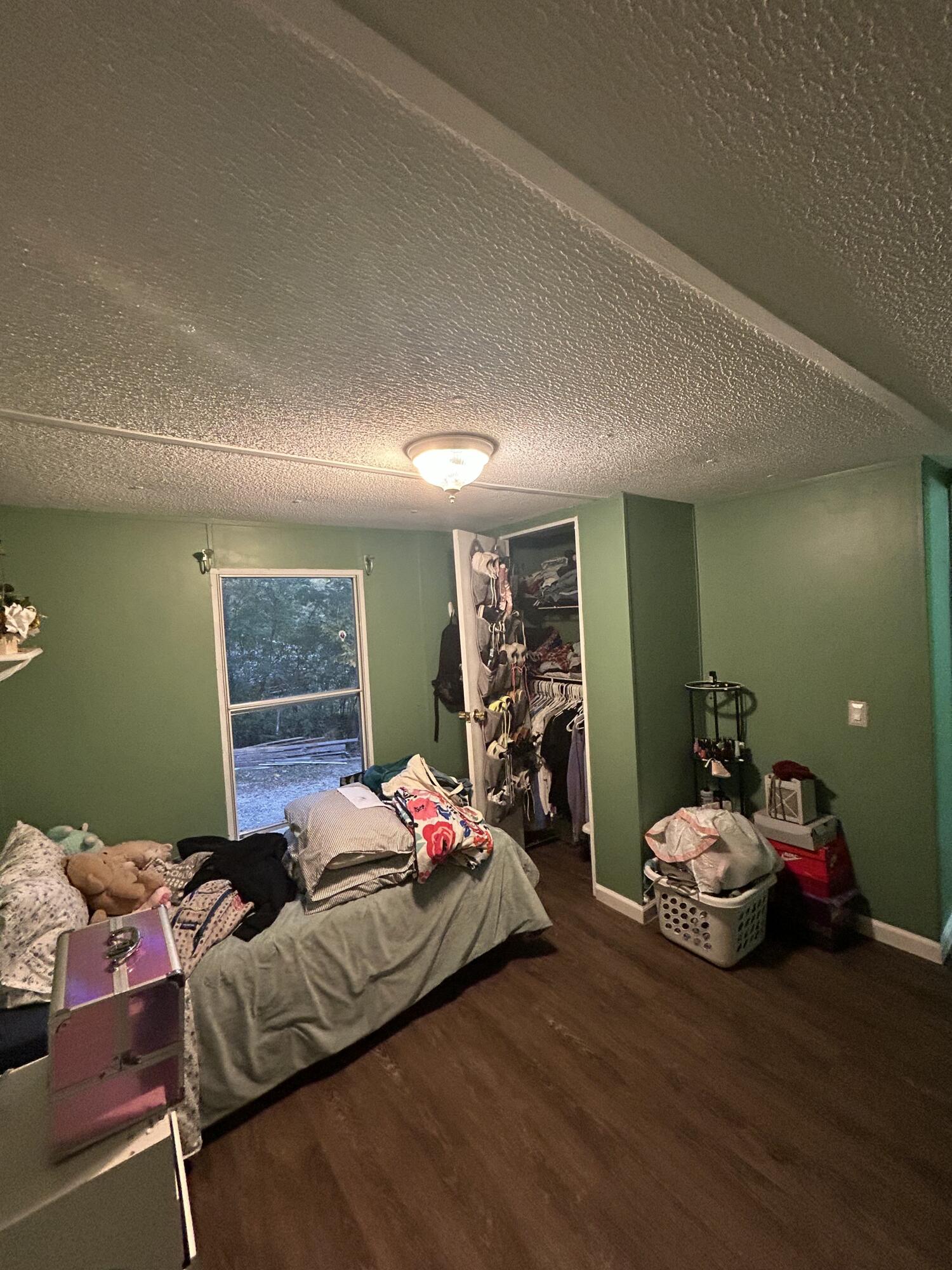382 W Schmitt Road, Rossville, Georgia image 7