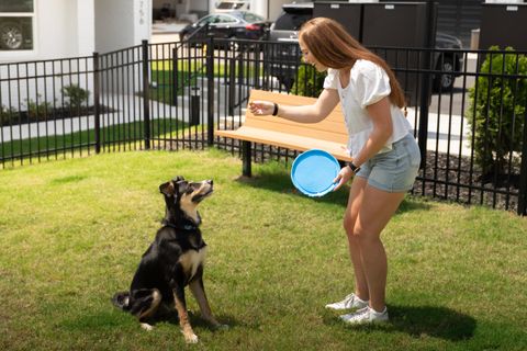 Tiny photo for 780 Bespoke Way, Chattanooga, TN 37403 (MLS # 1527569)