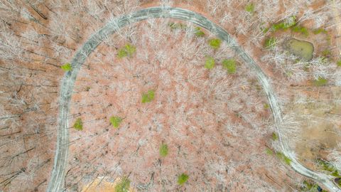 Tiny photo for 0 Lookout Crest Lane, Lookout Mountain, GA 30750 (MLS # 1368395)