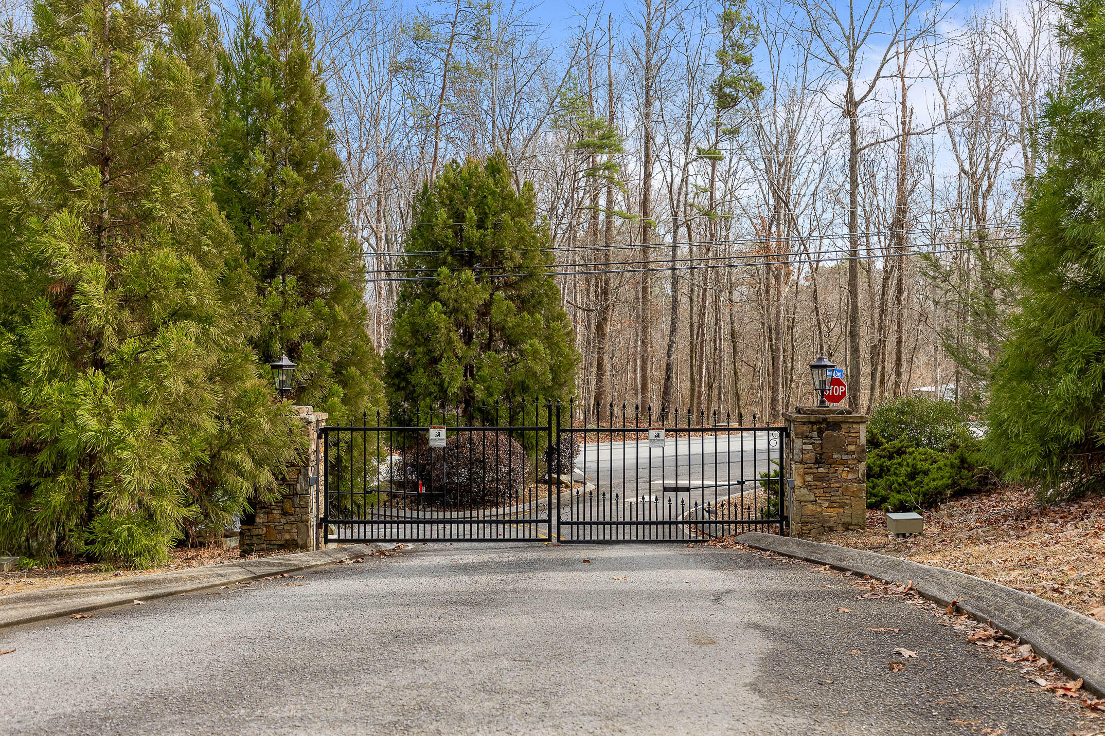 Lookout Crest Lane #1, Lookout Mountain, Georgia image 9