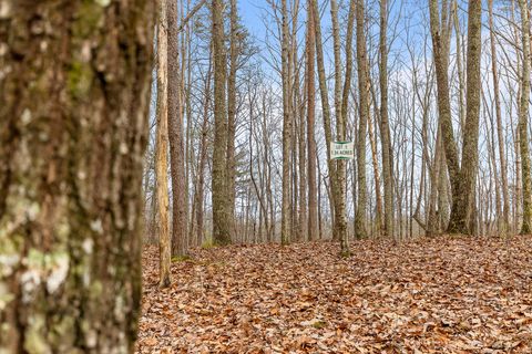 Tiny photo for 0 Lookout Crest Lane, Lookout Mountain, GA 30750 (MLS # 1368395)