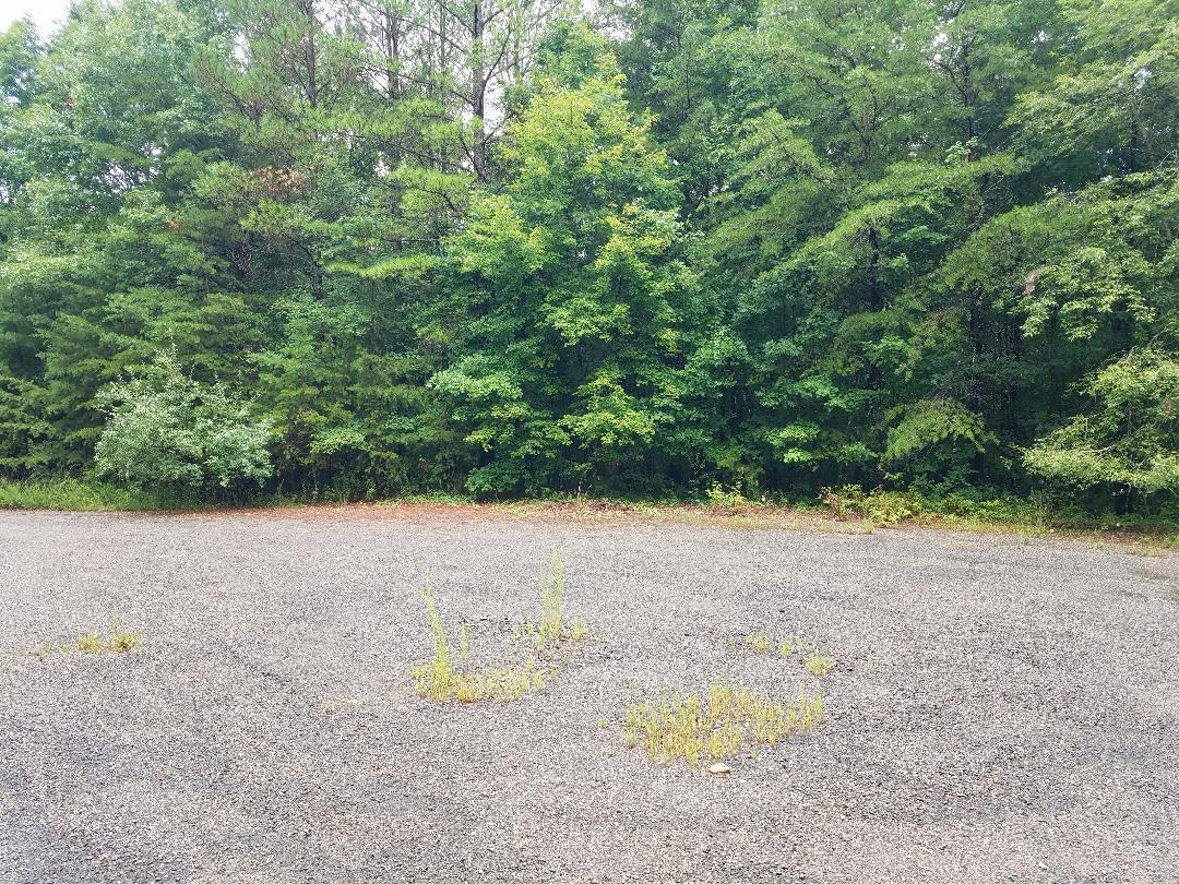 151 Indian Trail Drive #52, Spencer, Tennessee image 14