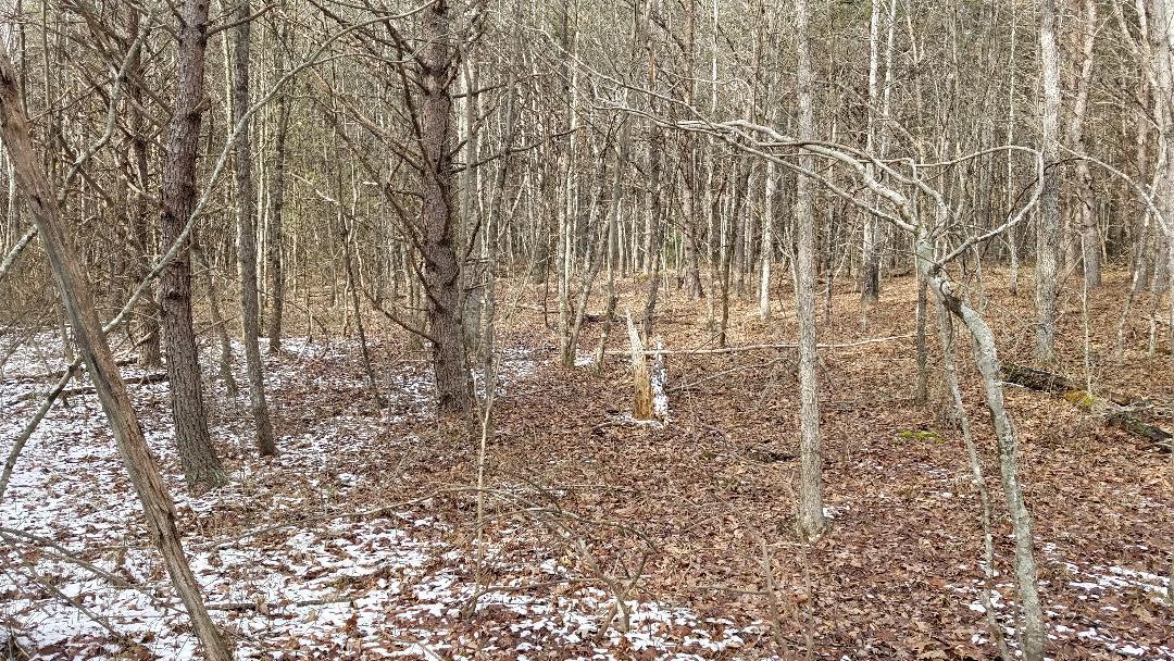 151 Indian Trail Drive #52, Spencer, Tennessee image 3