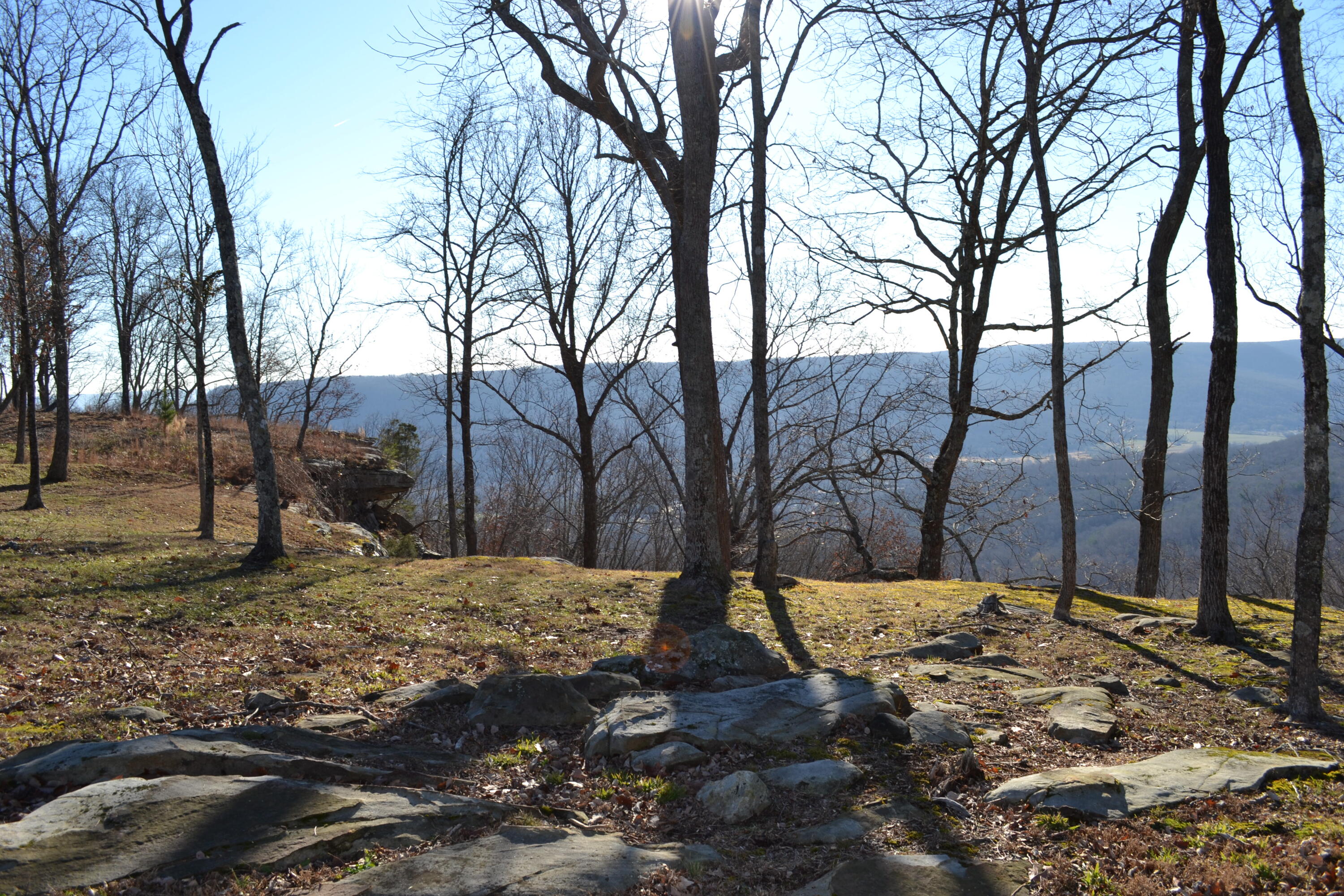 Raulston Falls Road #99, Jasper, Tennessee image 17