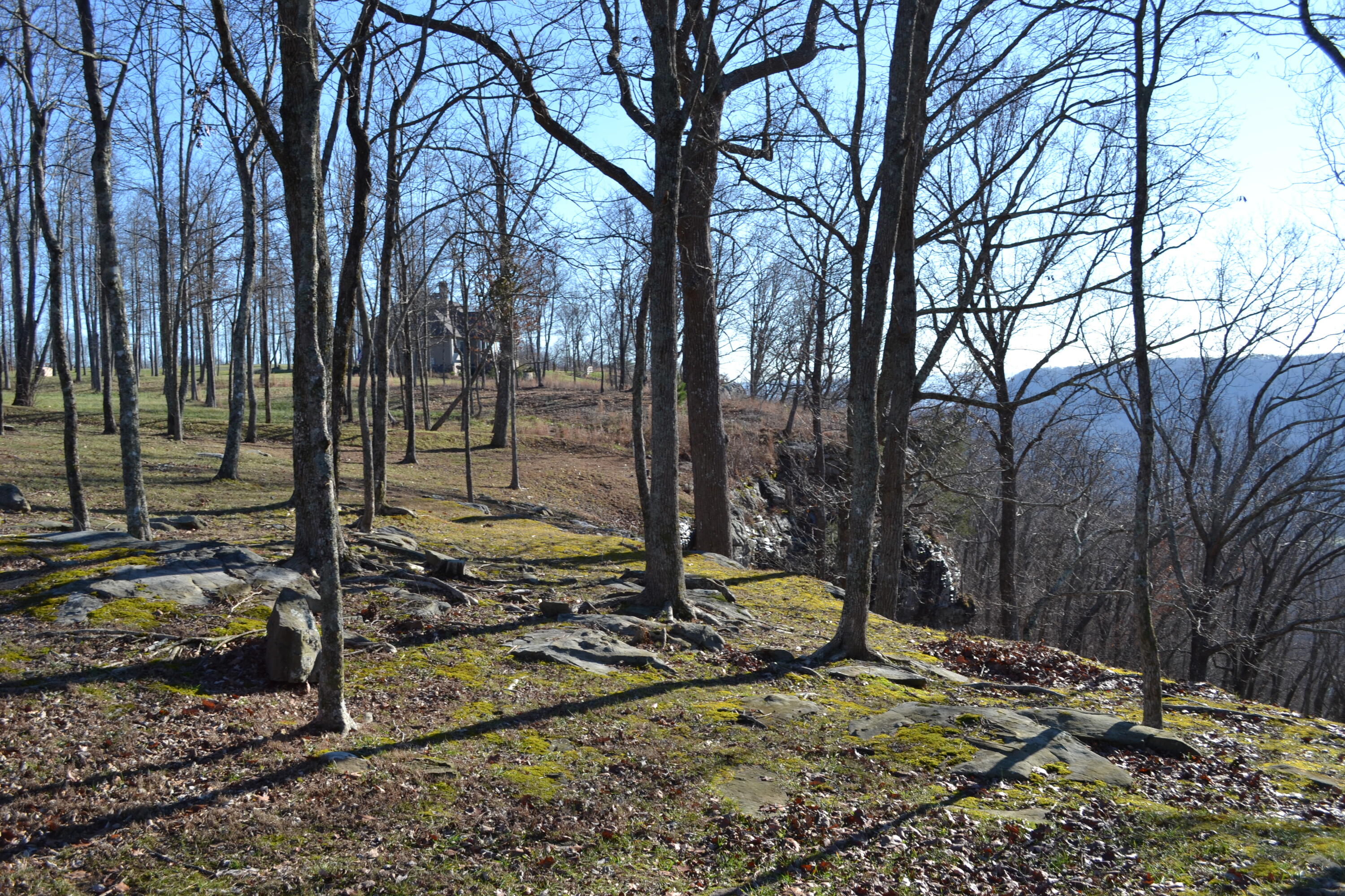 Raulston Falls Road #99, Jasper, Tennessee image 18