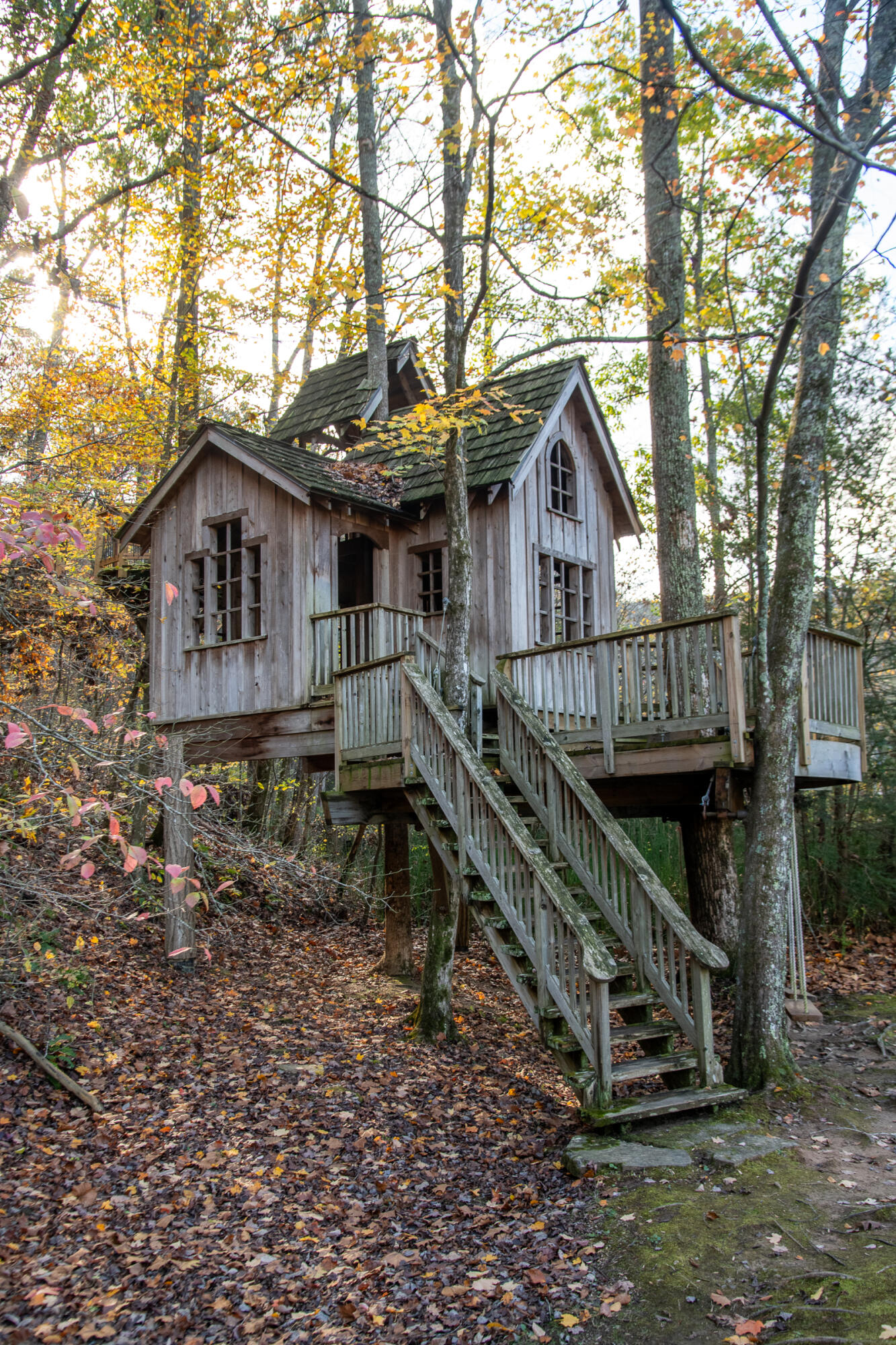 Cherokee Knoll, Chickamauga, Georgia image 37
