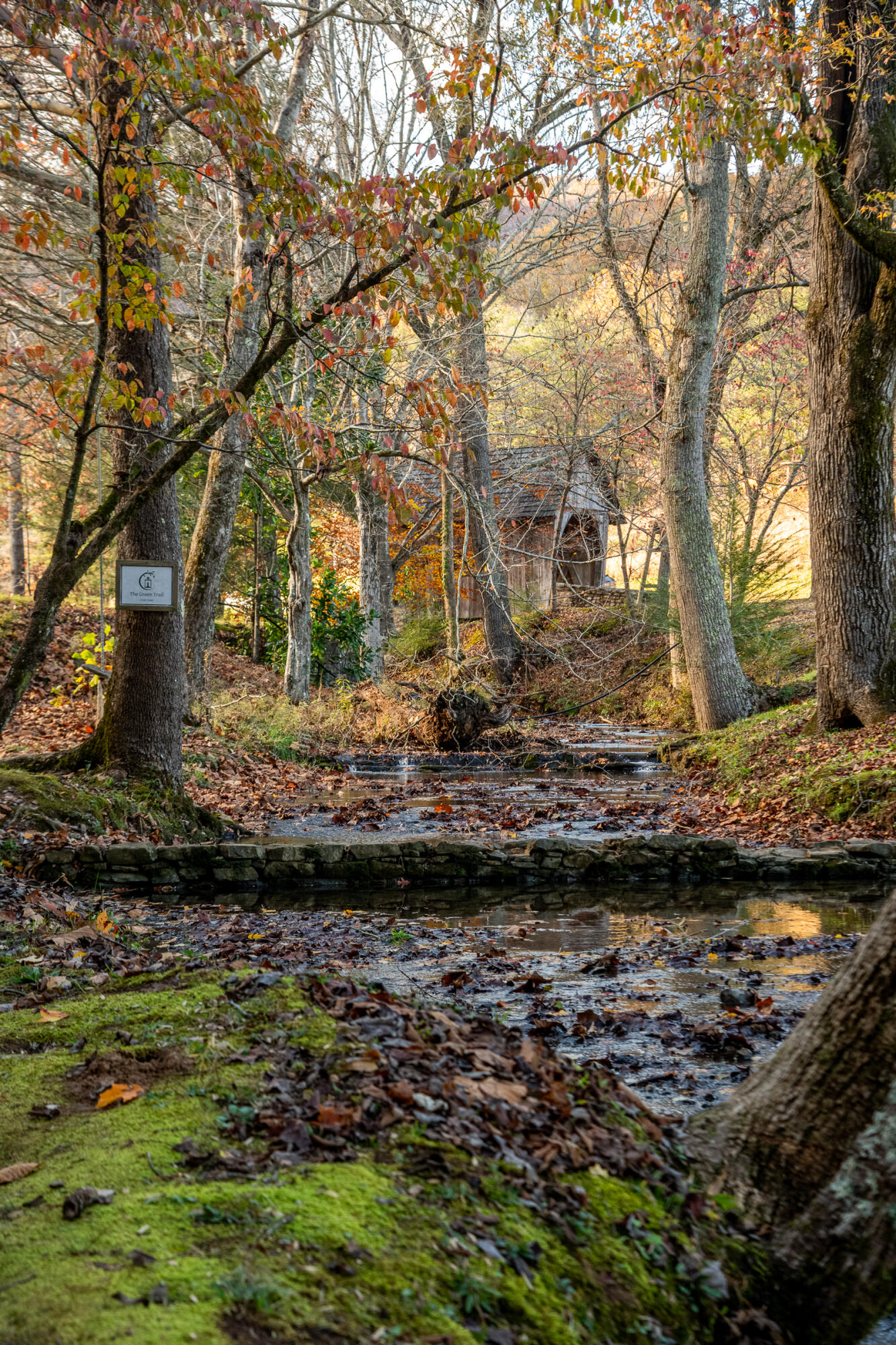 Cherokee Knoll, Chickamauga, Georgia image 41