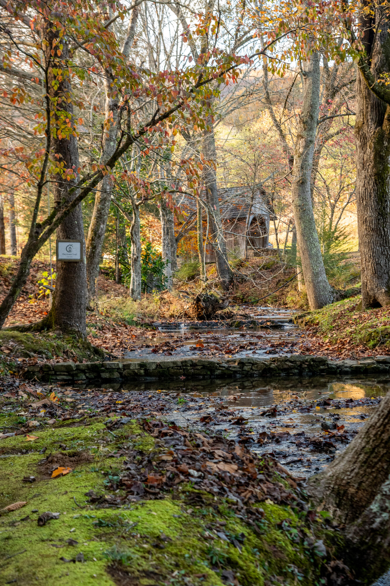 Cherokee Knoll, Chickamauga, Georgia image 40