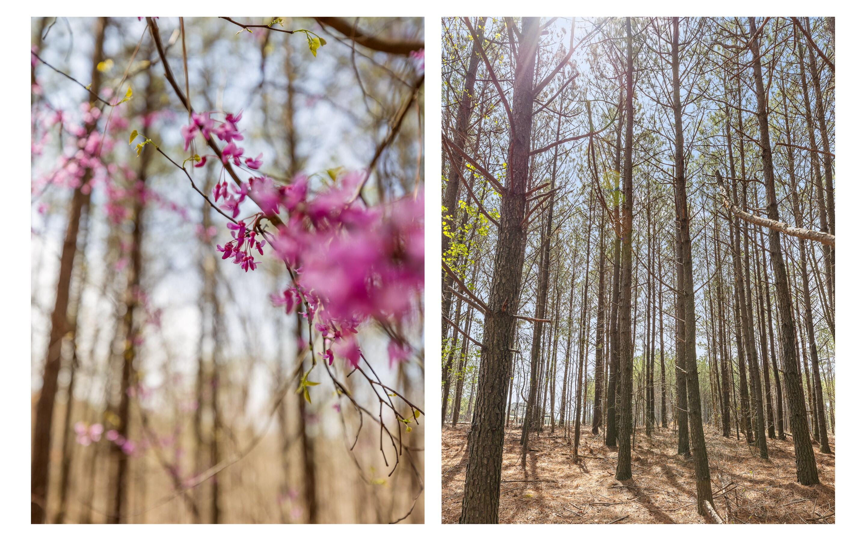 Lot 344 Waterwheel Way, Jasper, Tennessee image 15