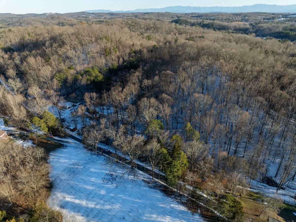 Randles Road, Strawberry Plains, Tennessee image 6