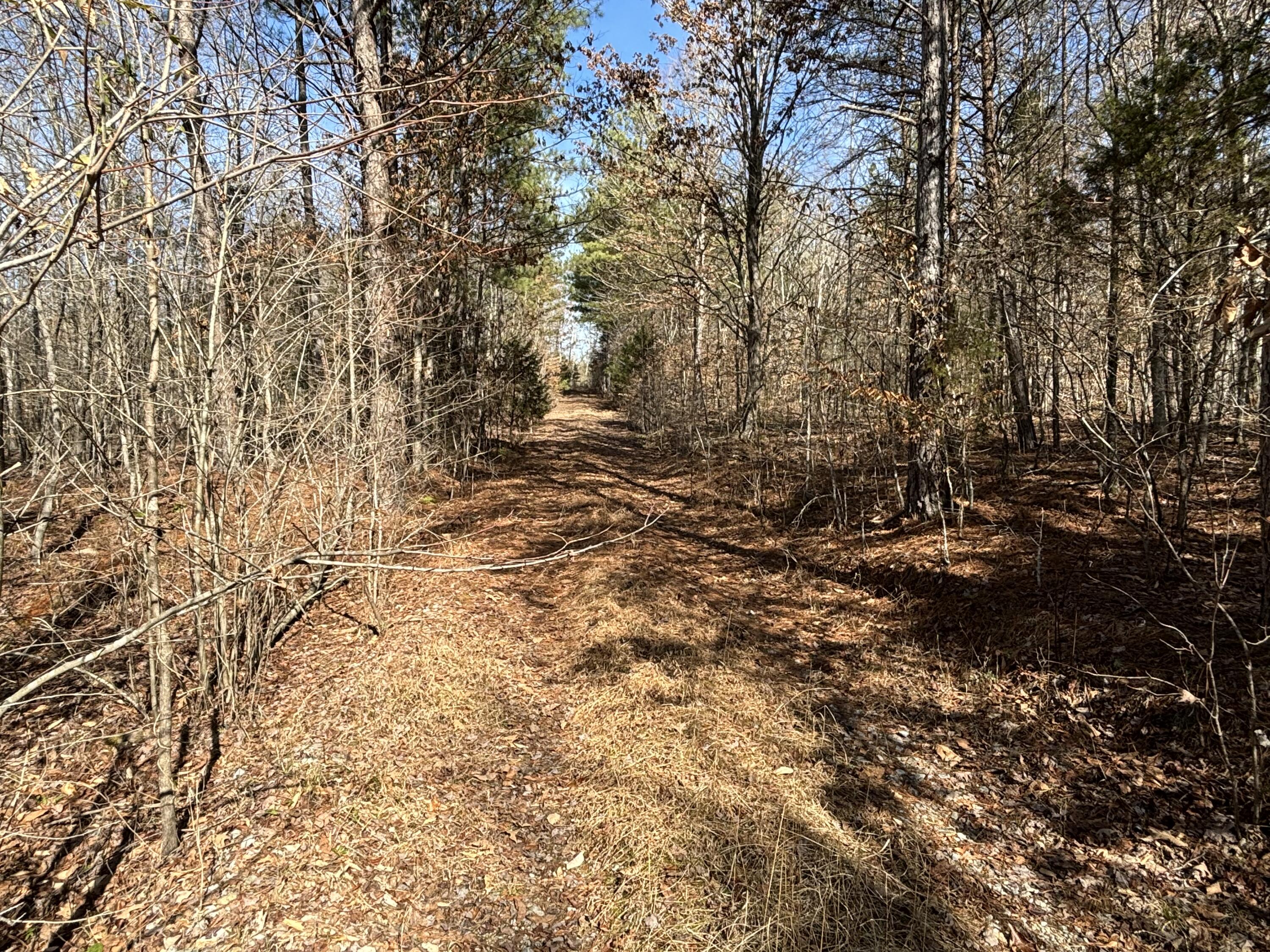 Vaughn Mill Road, Evensville, Tennessee image 16
