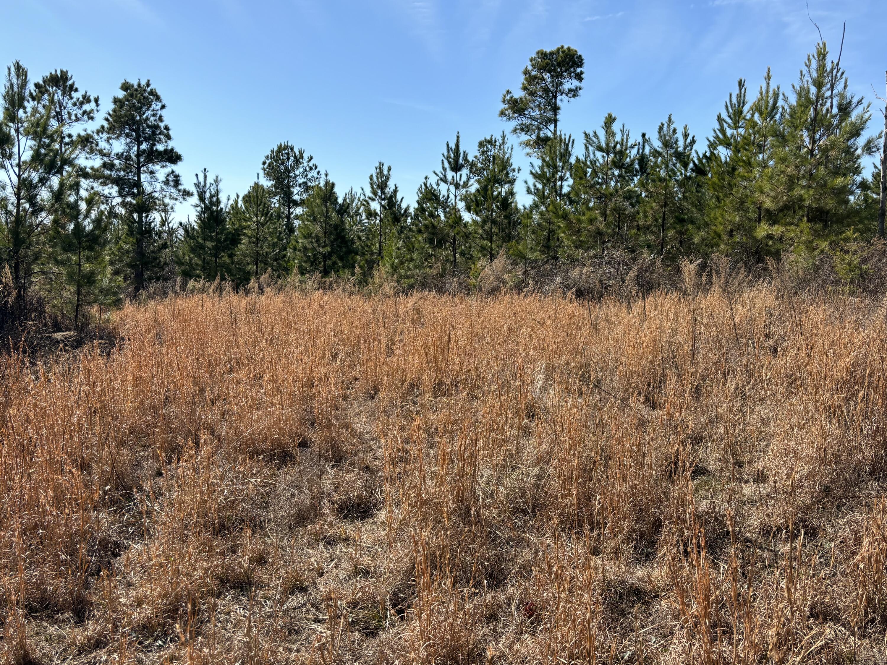Vaughn Mill Road, Evensville, Tennessee image 20
