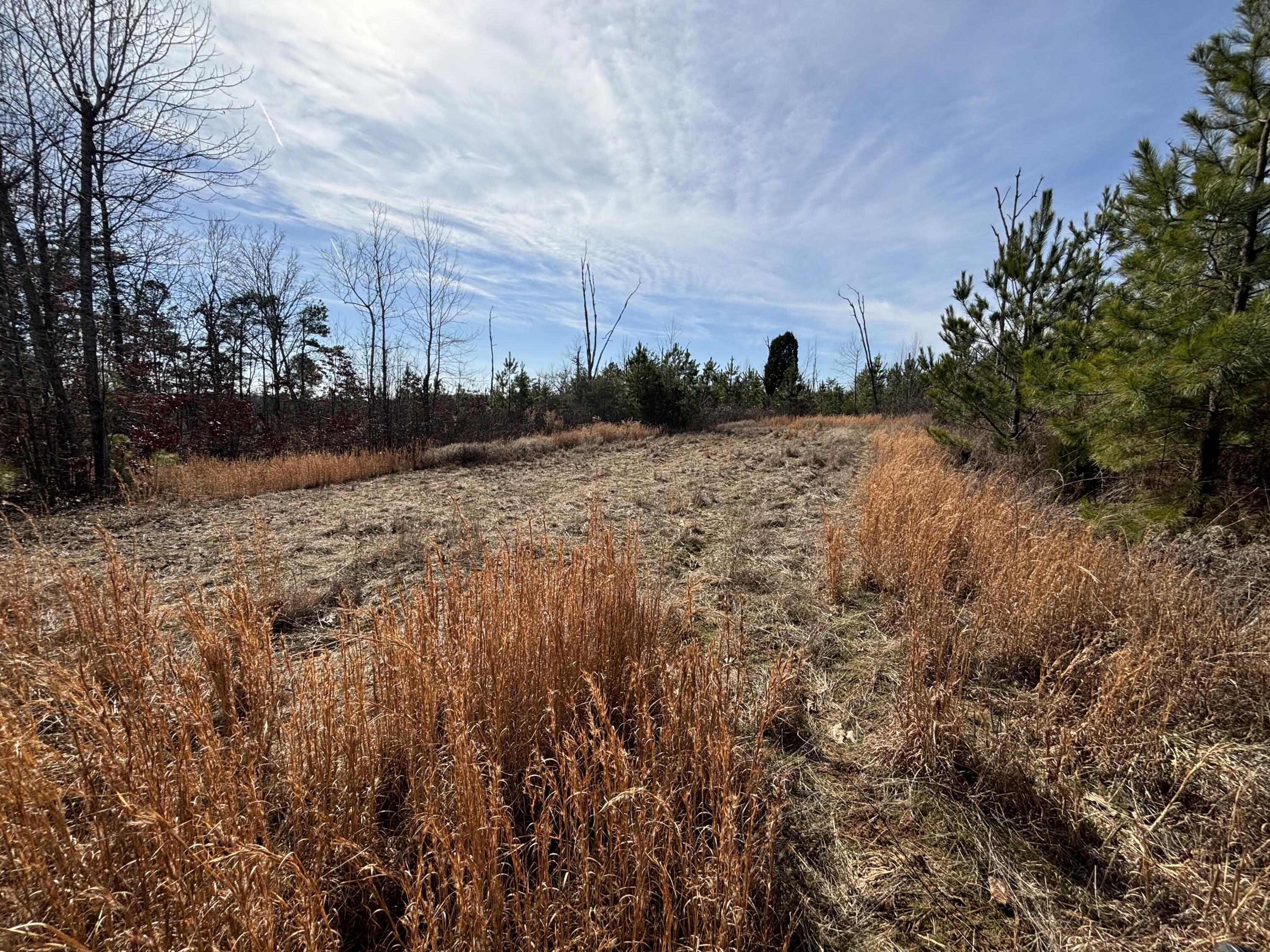 Vaughn Mill Road, Evensville, Tennessee image 7
