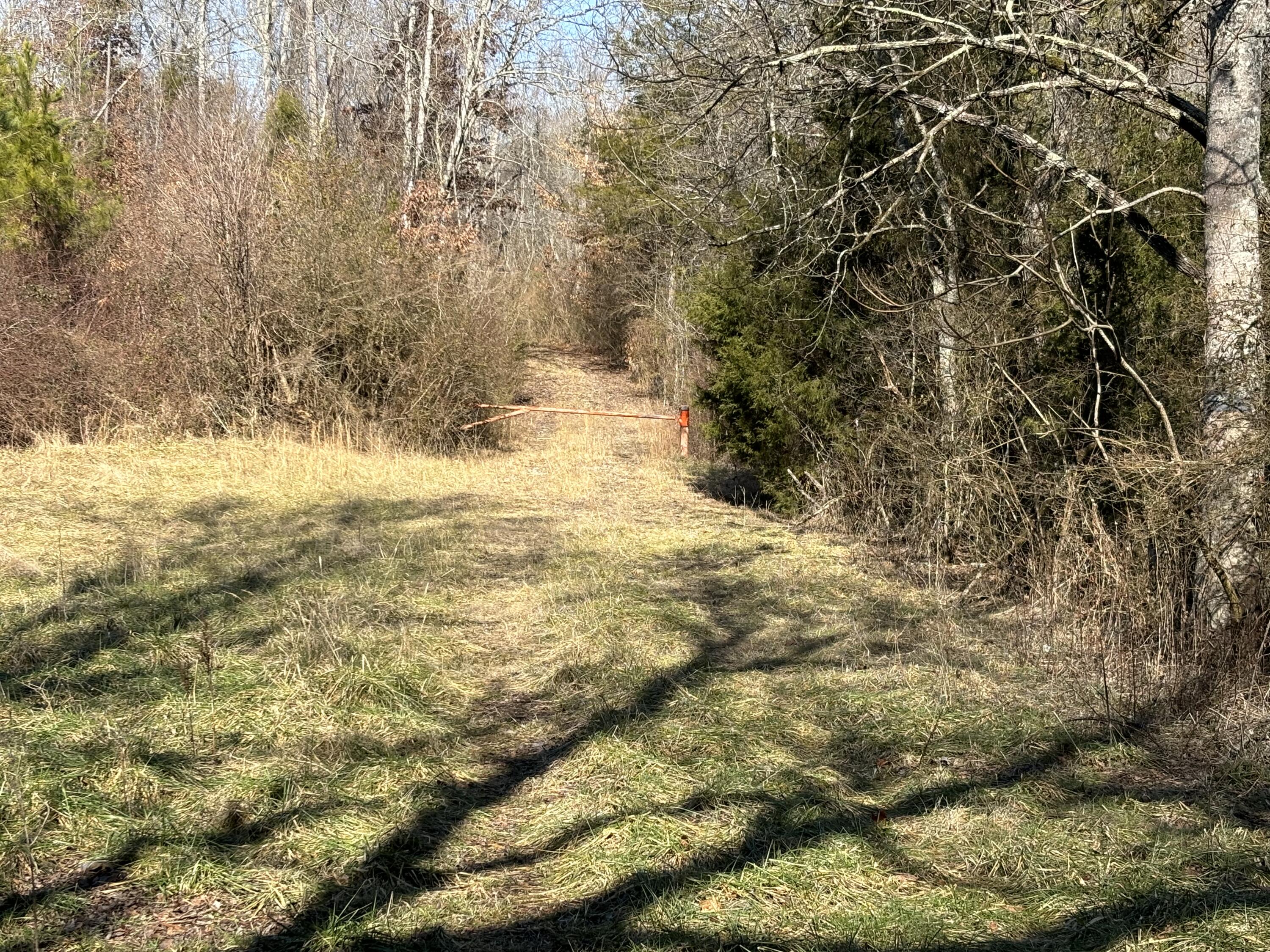 Vaughn Mill Road, Evensville, Tennessee image 15