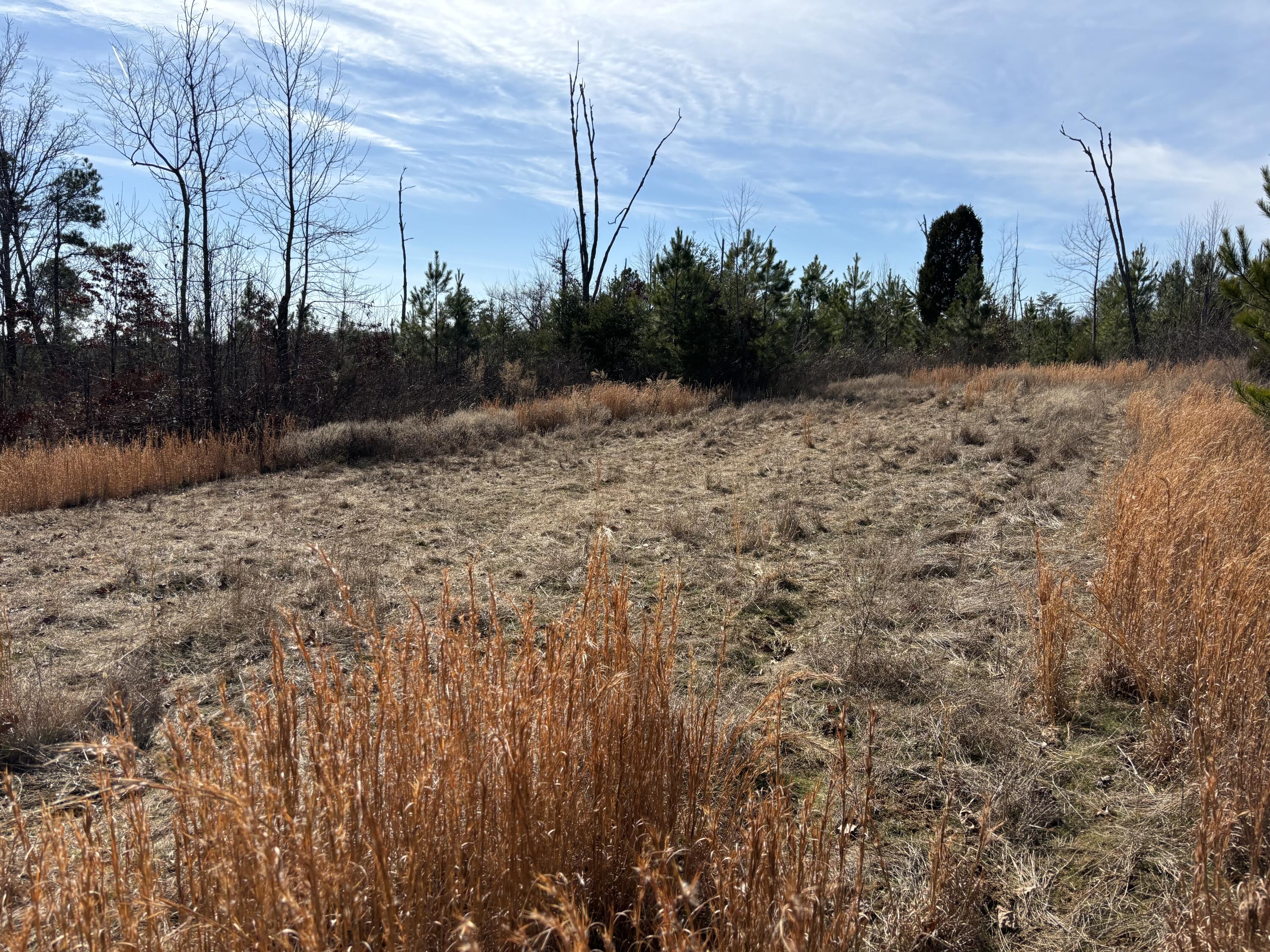 Vaughn Mill Road, Evensville, Tennessee image 3