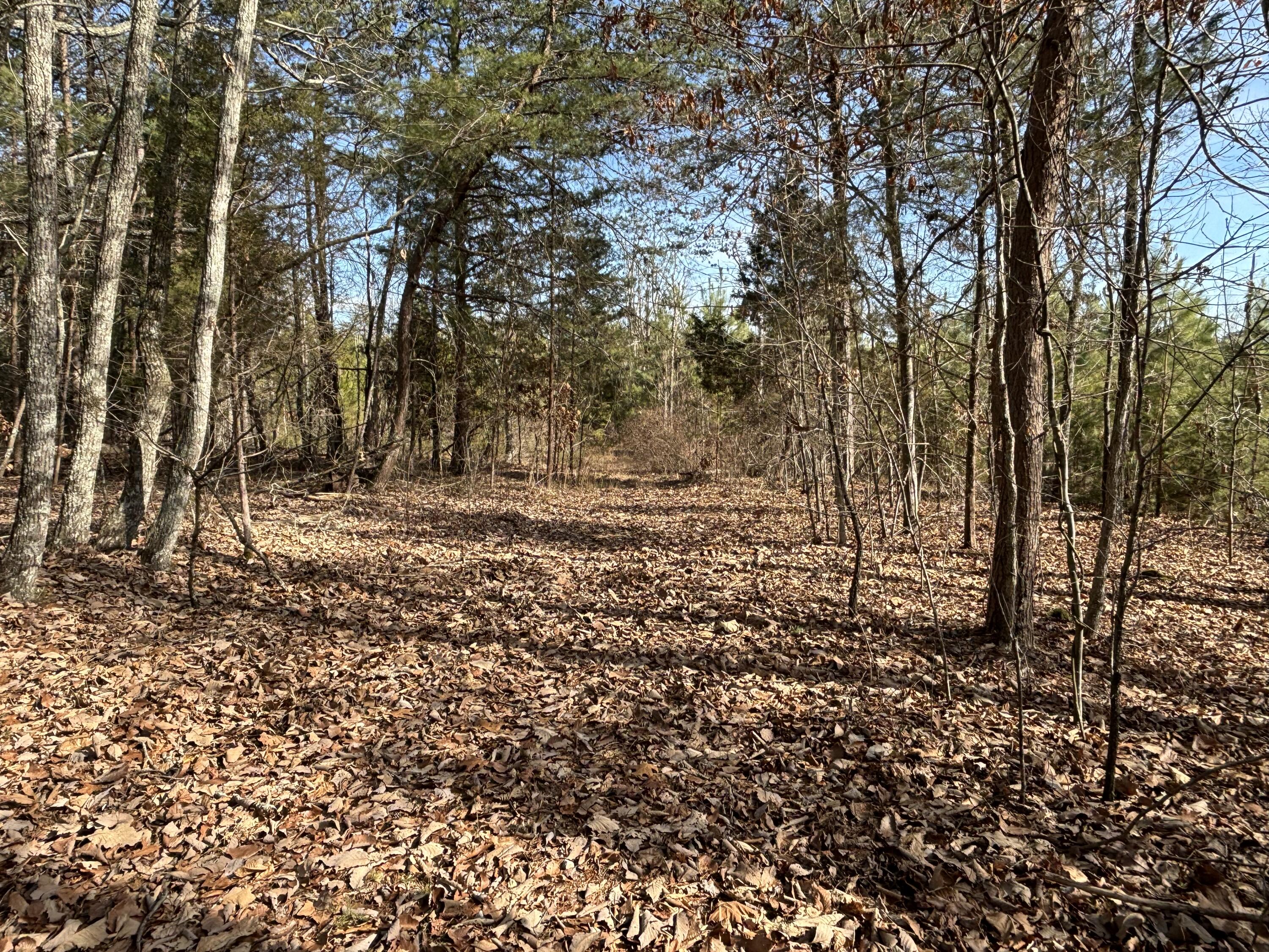 Vaughn Mill Road, Evensville, Tennessee image 2