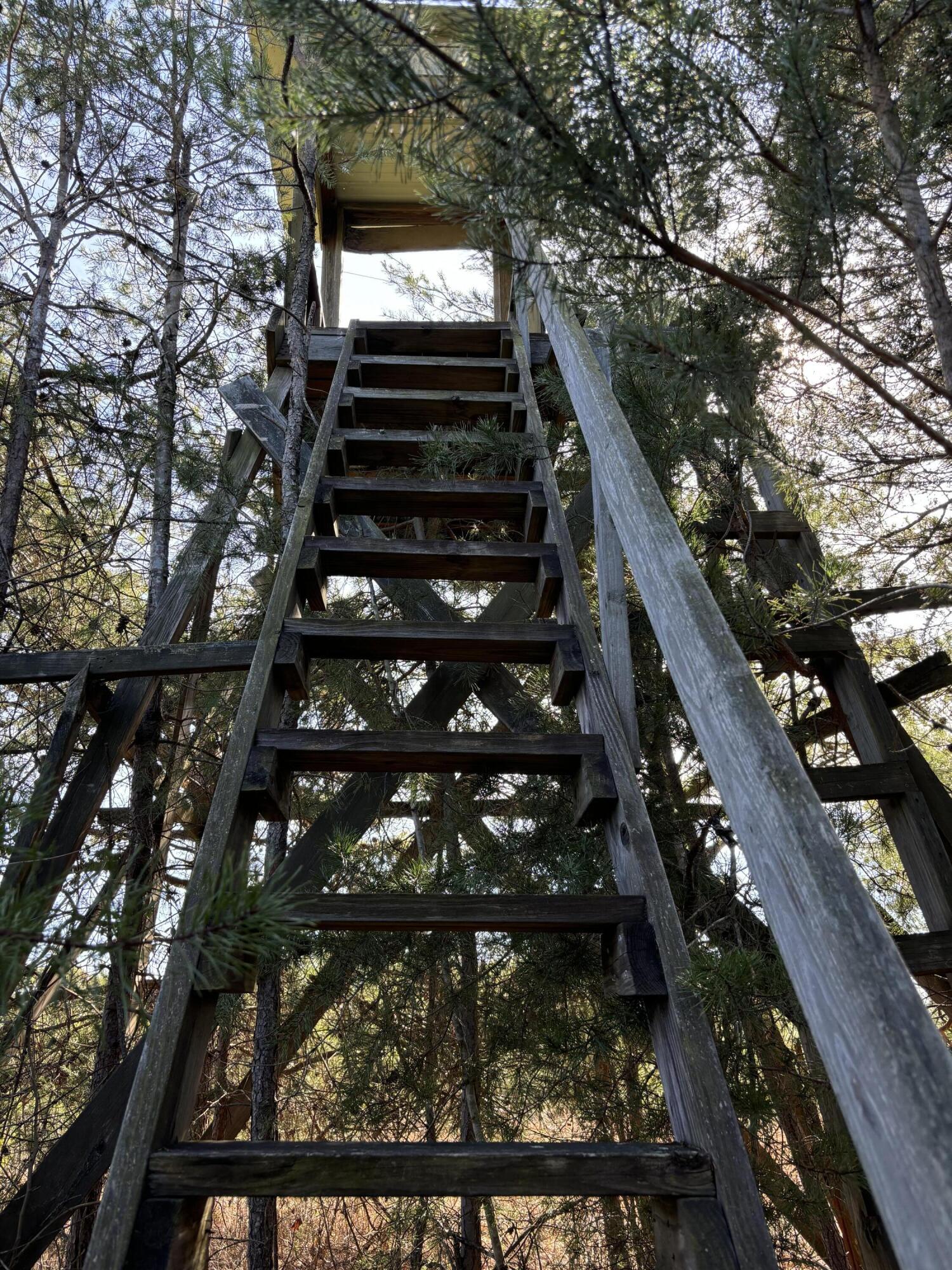 Vaughn Mill Road, Evensville, Tennessee image 12