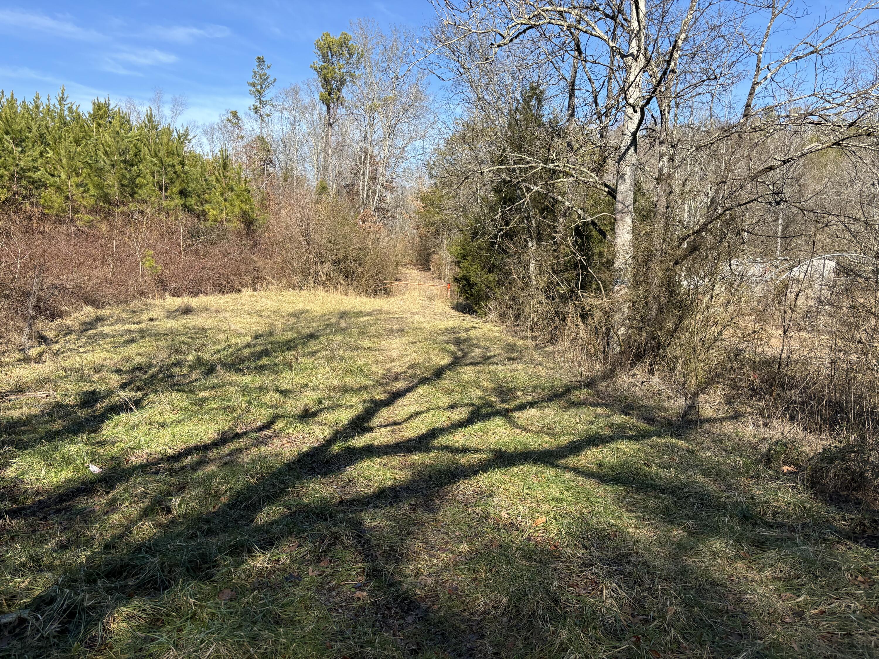 Vaughn Mill Road, Evensville, Tennessee image 8