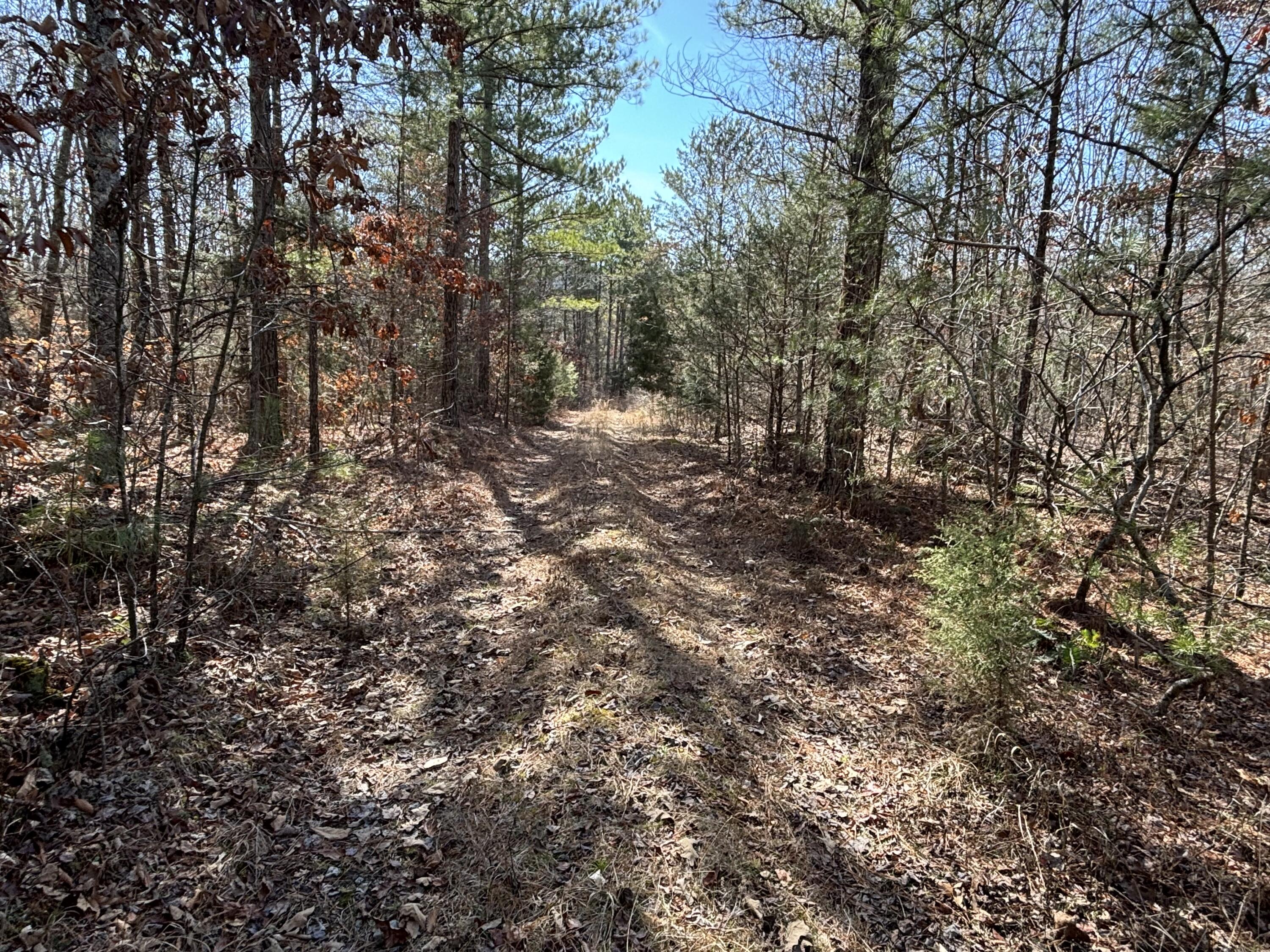 Vaughn Mill Road, Evensville, Tennessee image 17
