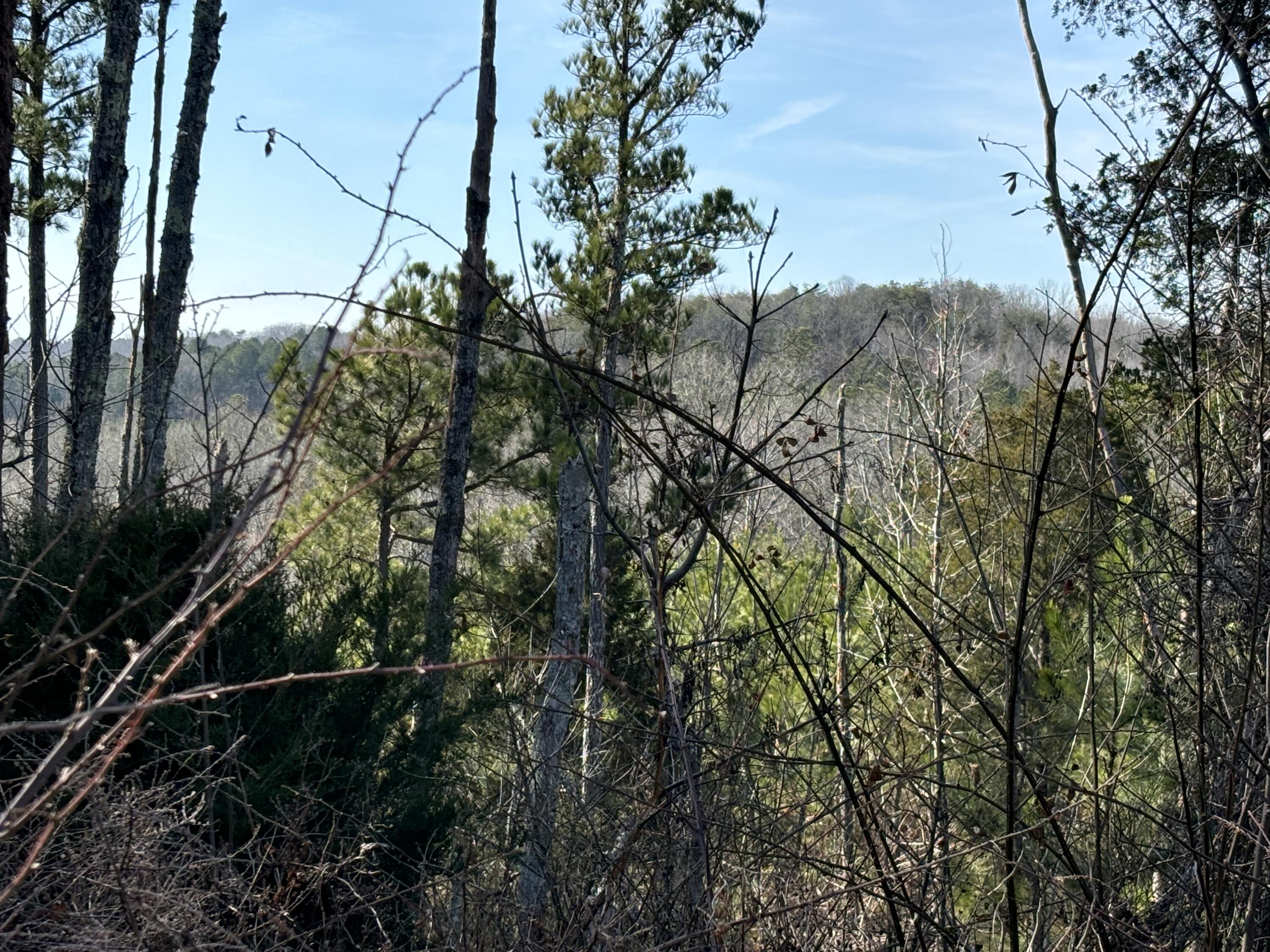 Vaughn Mill Road, Evensville, Tennessee image 23