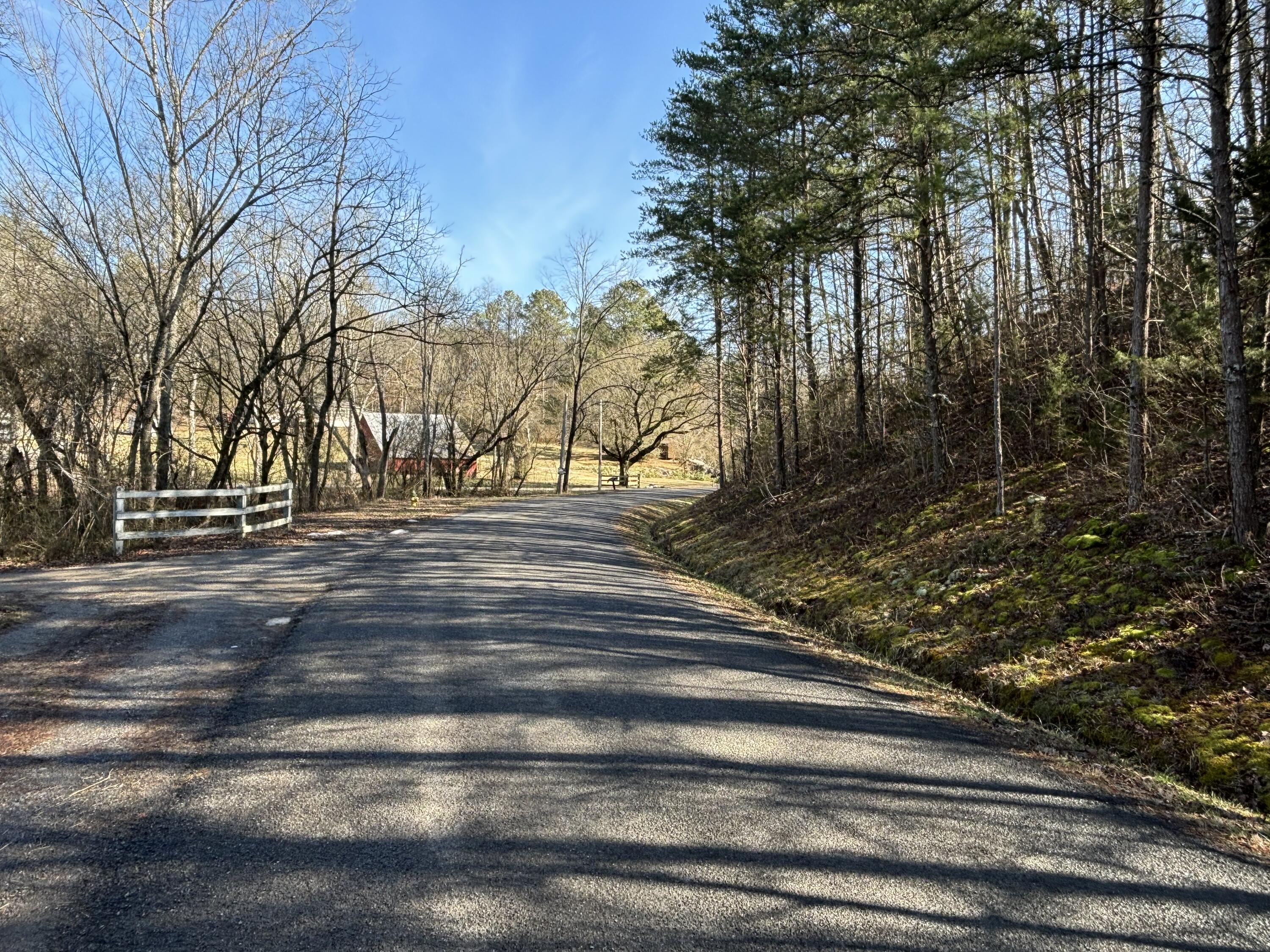 Vaughn Mill Road, Evensville, Tennessee image 25