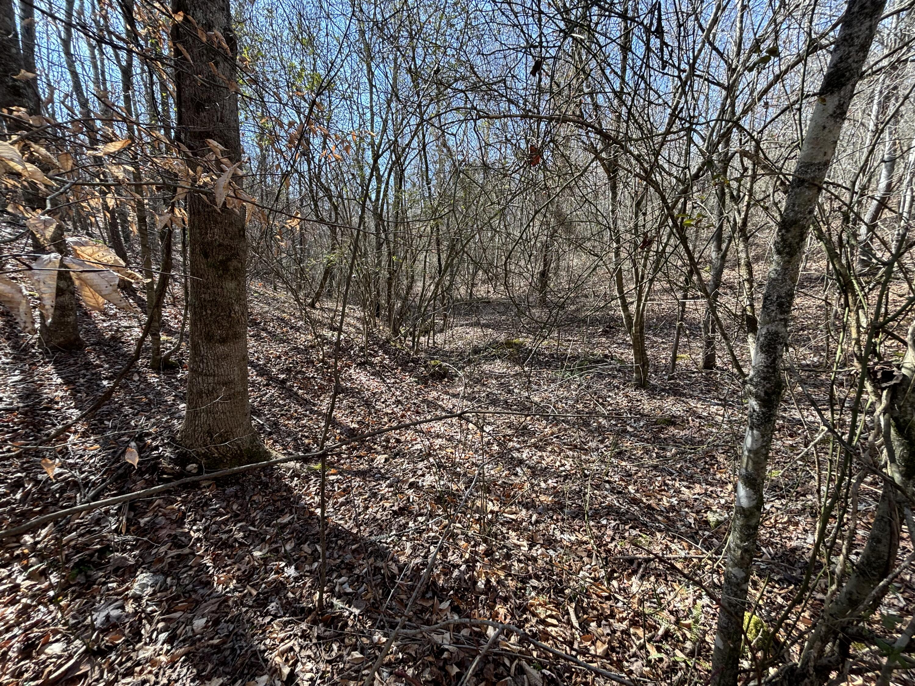 Vaughn Mill Road, Evensville, Tennessee image 18