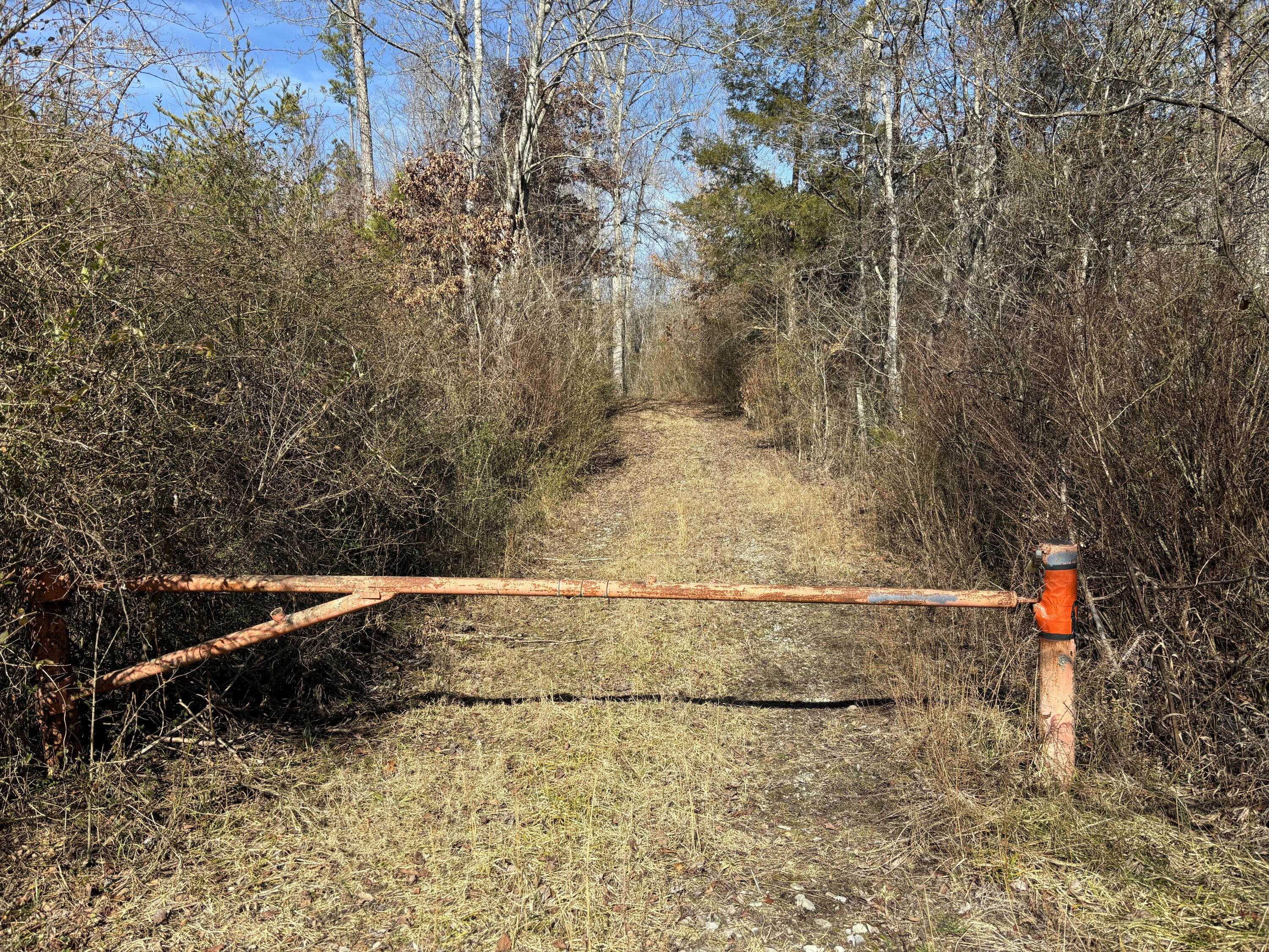 Vaughn Mill Road, Evensville, Tennessee image 5