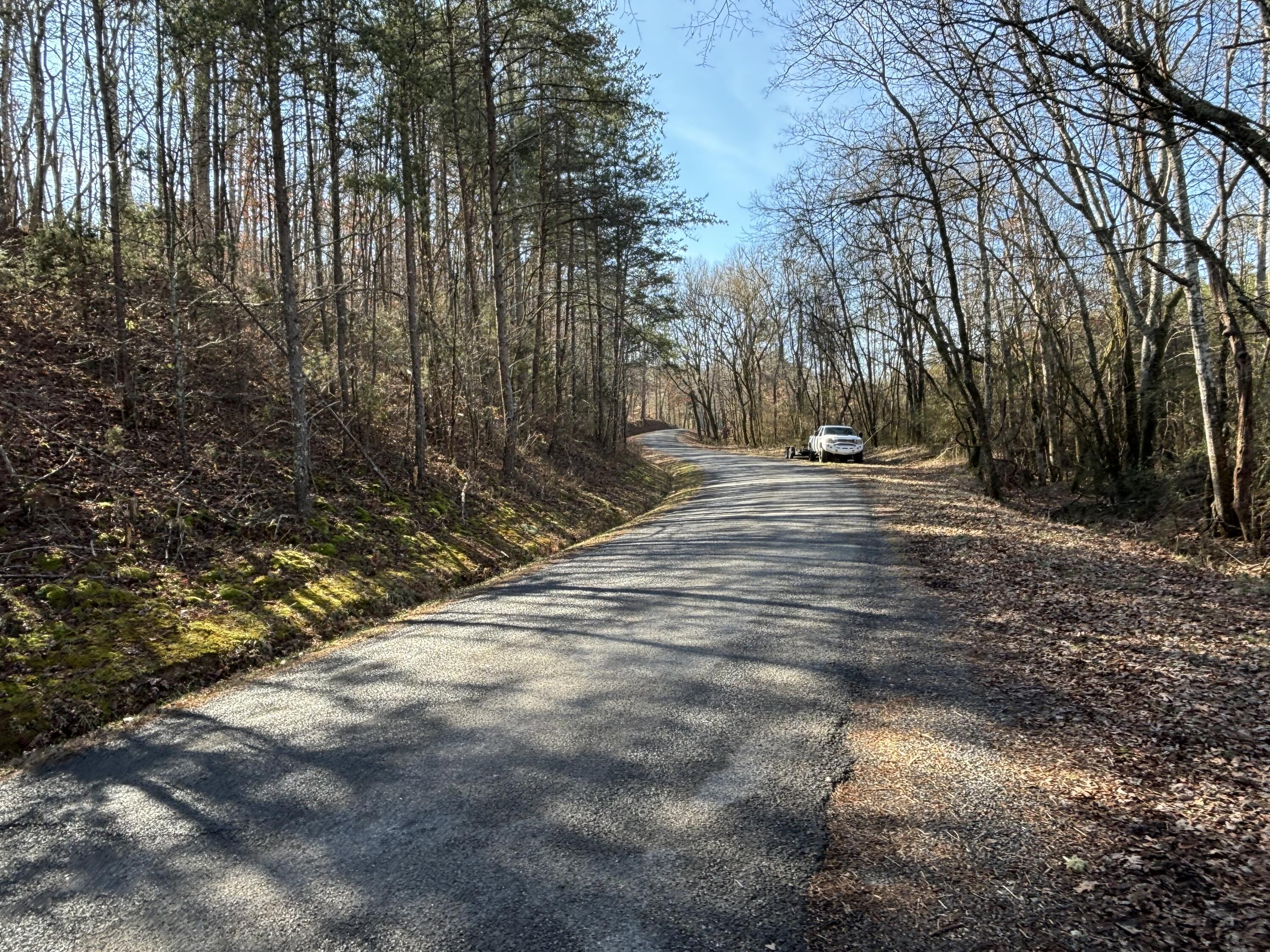 Vaughn Mill Road, Evensville, Tennessee image 26