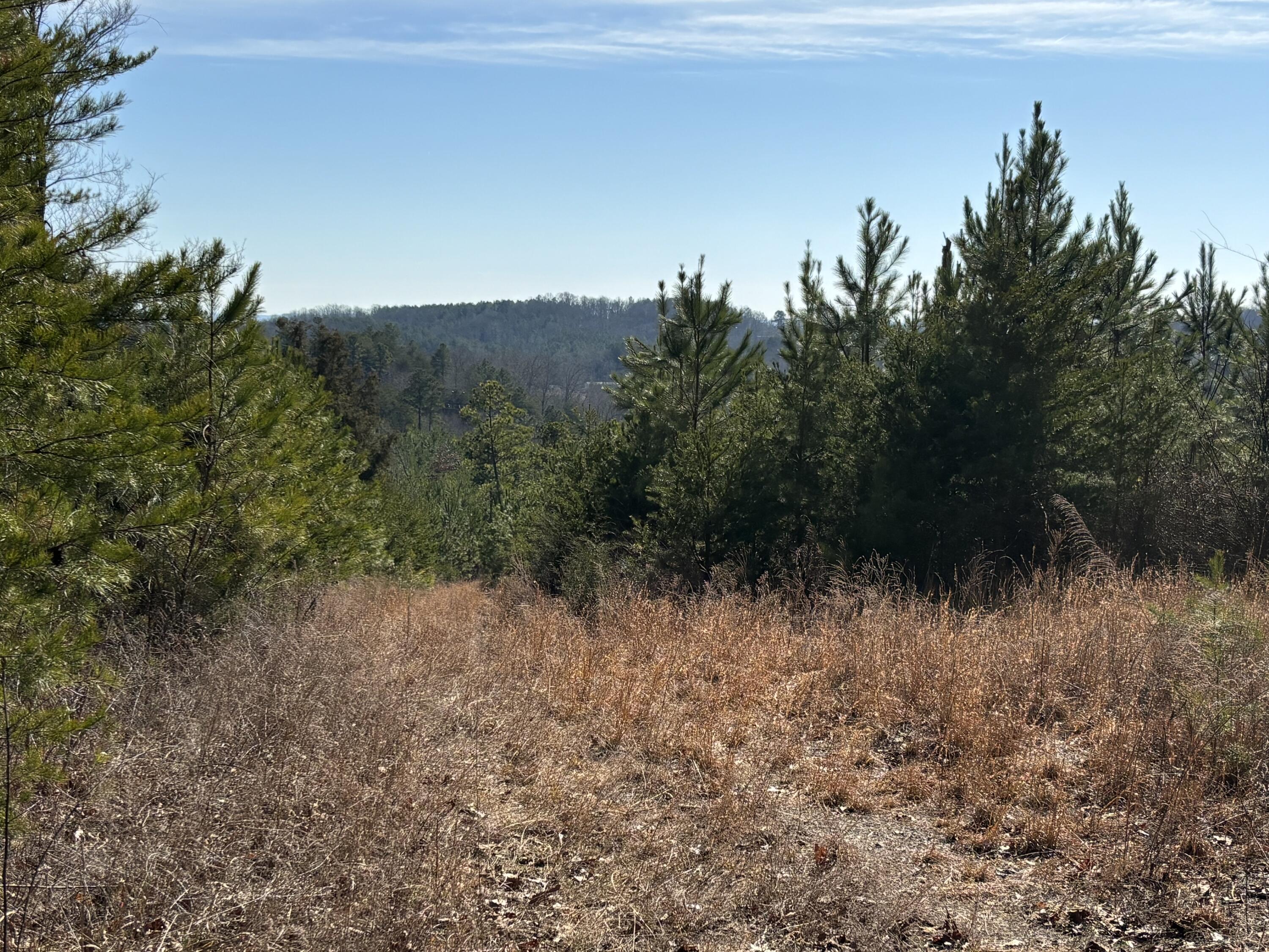 Vaughn Mill Road, Evensville, Tennessee image 1