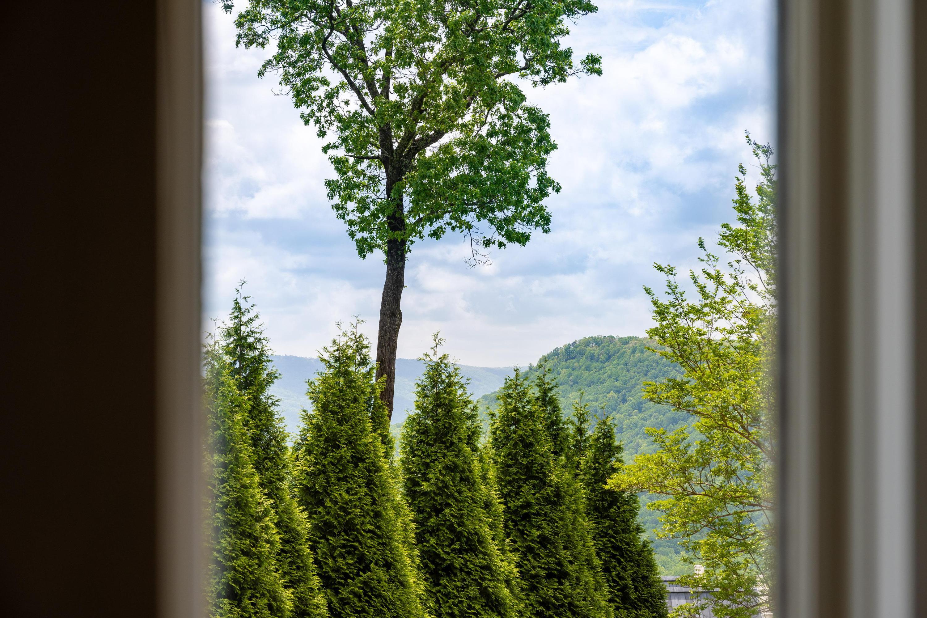 3 Close Family Road, Signal Mountain, Tennessee image 2