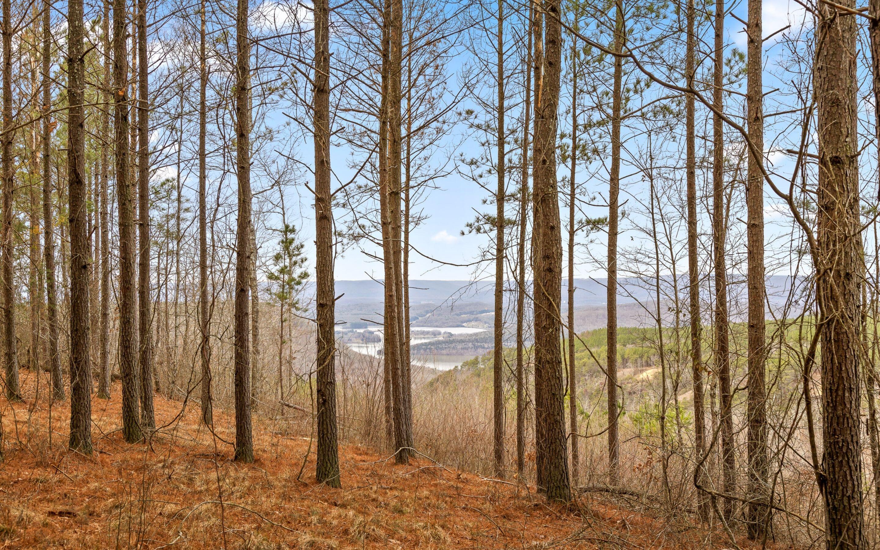 Lot 1156 Legacy Drive, Guild, Tennessee image 3
