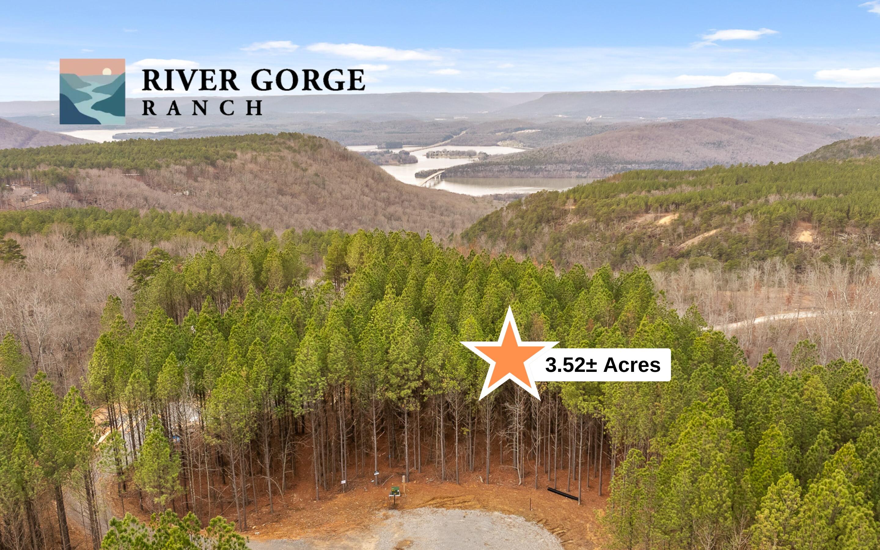 Lot 1156 Legacy Drive, Guild, Tennessee image 1