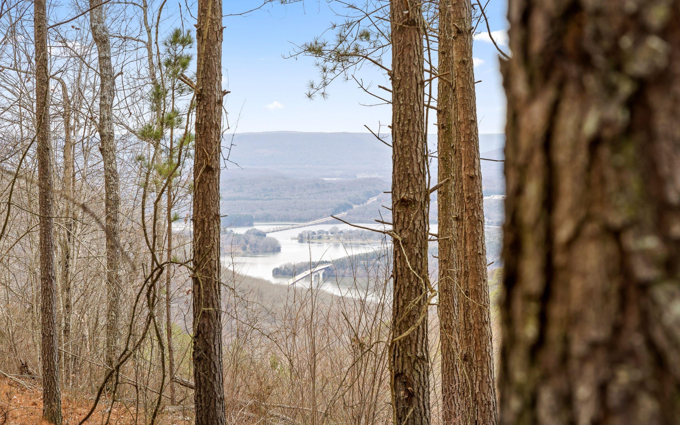 Lot 1156 Legacy Drive, Guild, Tennessee image 2